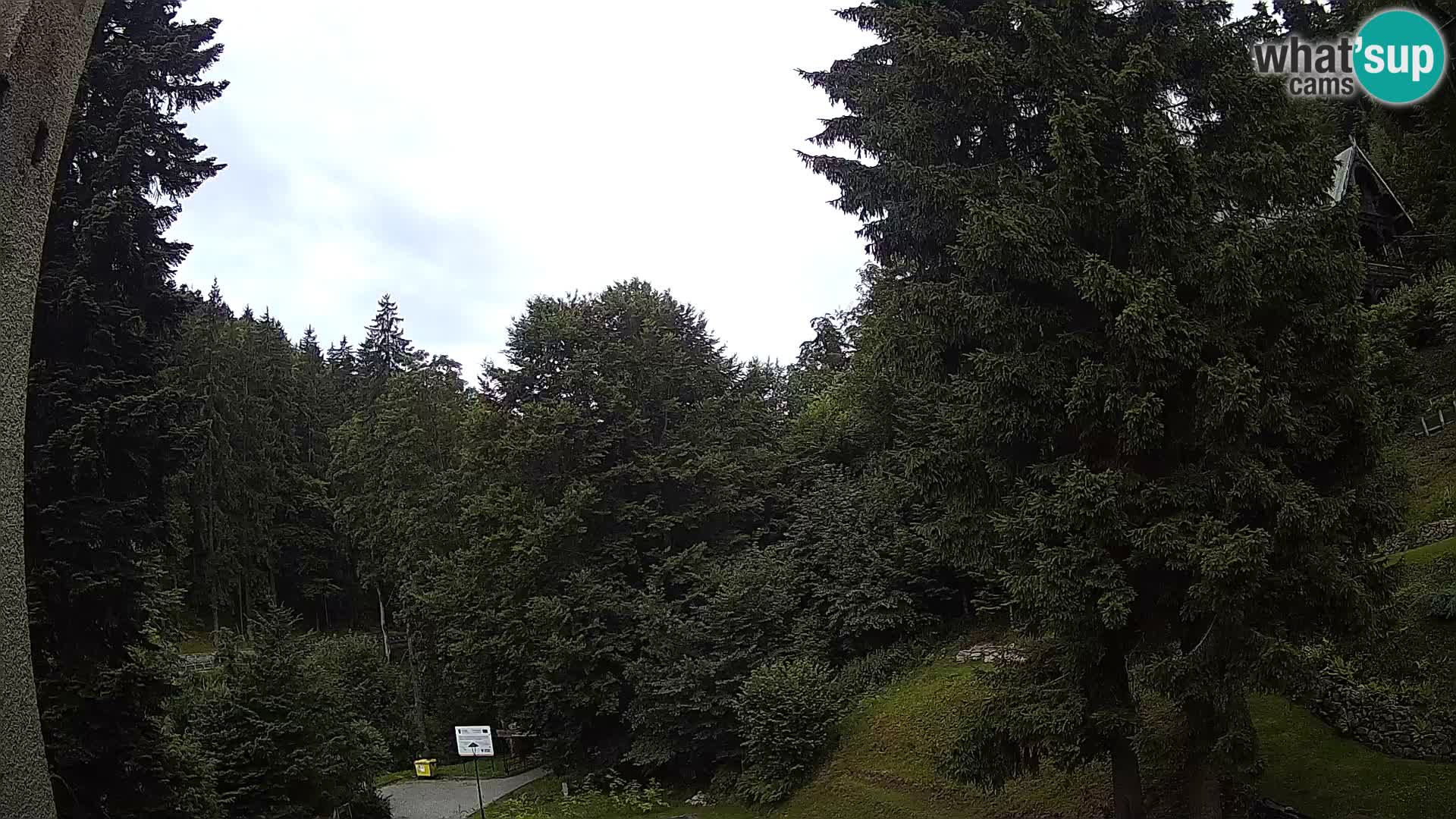 LIVE Webcam Spalona – Langlaufgebiet livecam Bystrzyckie Berge