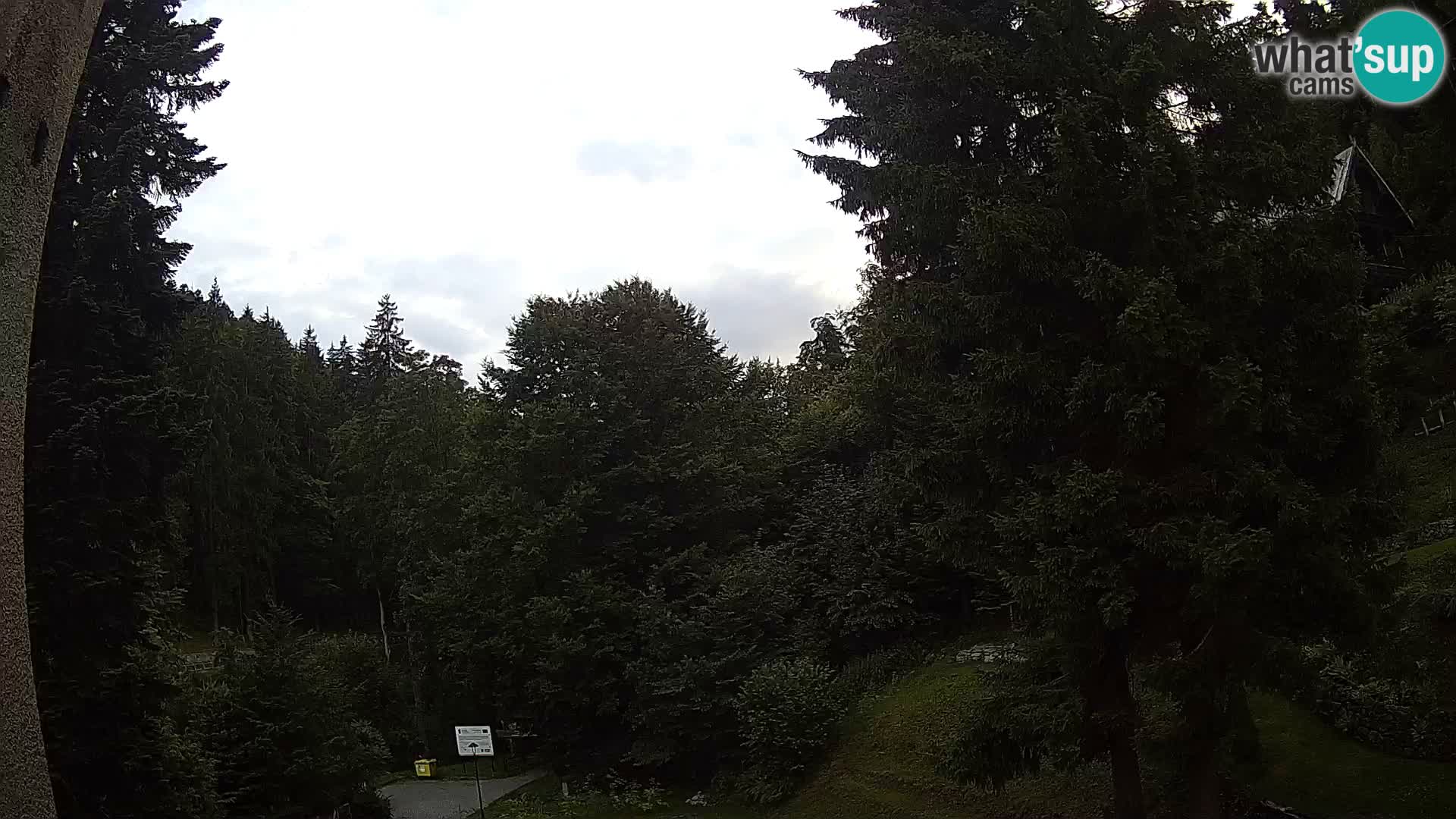 LIVE Webcam Spalona – Langlaufgebiet livecam Bystrzyckie Berge
