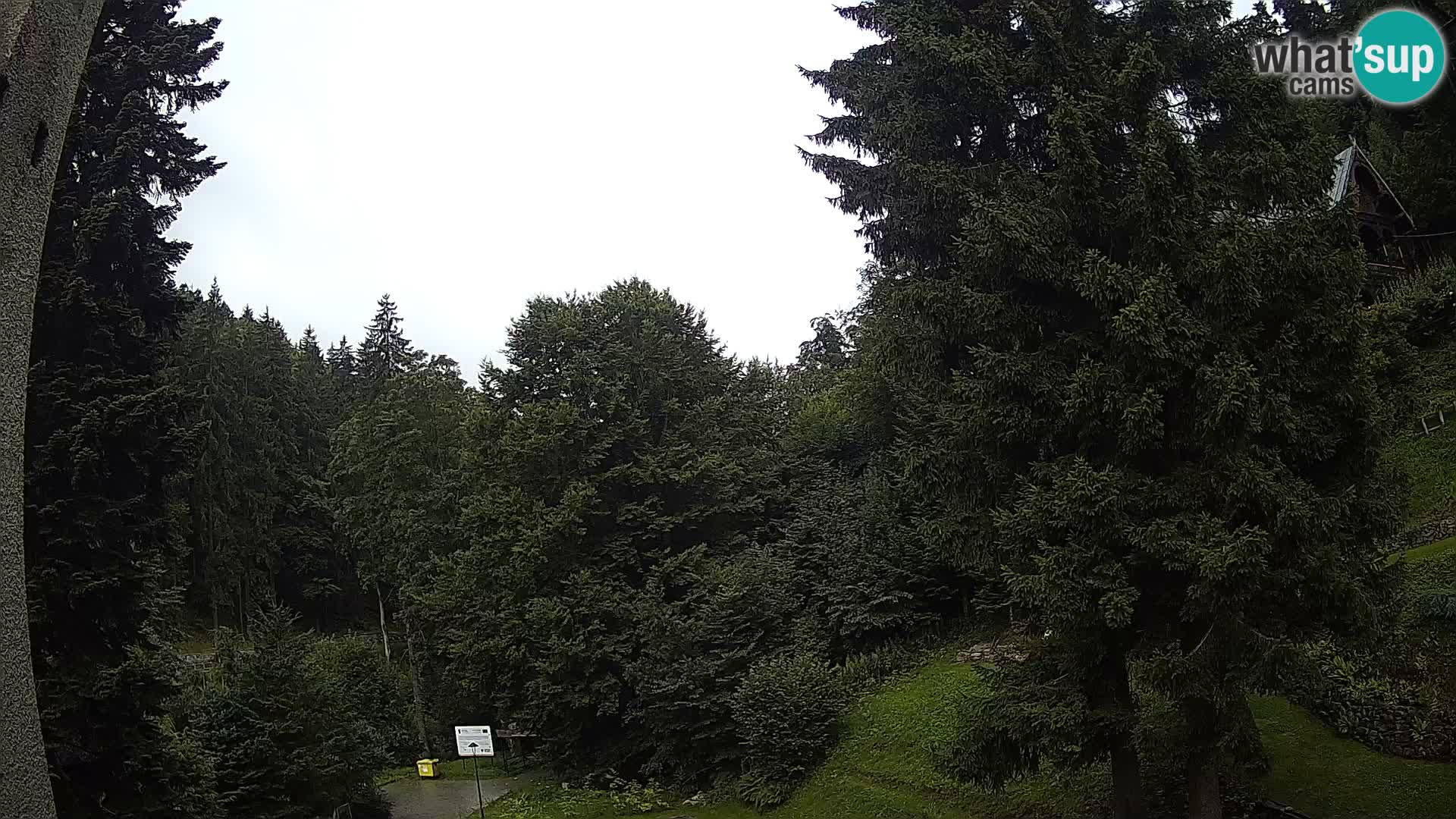 Camera en vivo Spalona – Estación de esquí de fondo webcam Montañas Bystrzyckie
