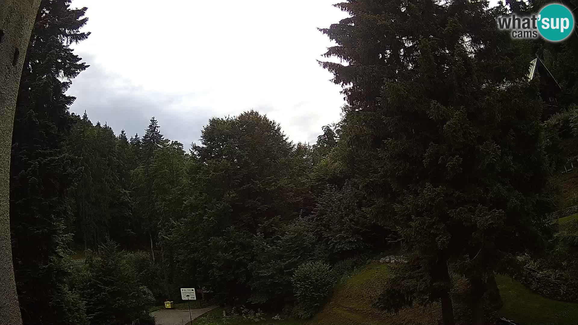 Webcam Spalona – centro scii da fondo live cam montagne Bystrzycki