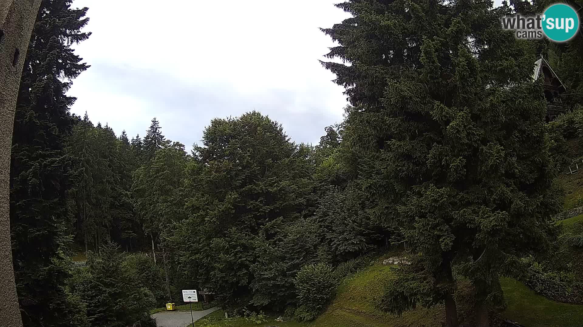 Webcam Spalona – centro scii da fondo live cam montagne Bystrzycki