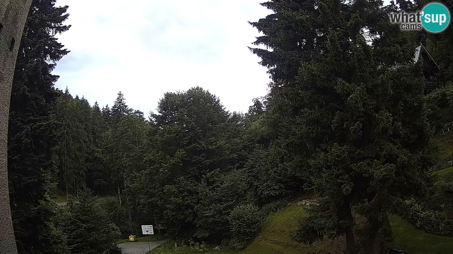 LIVE Webcam Spalona – Langlaufgebiet livecam Bystrzyckie Berge