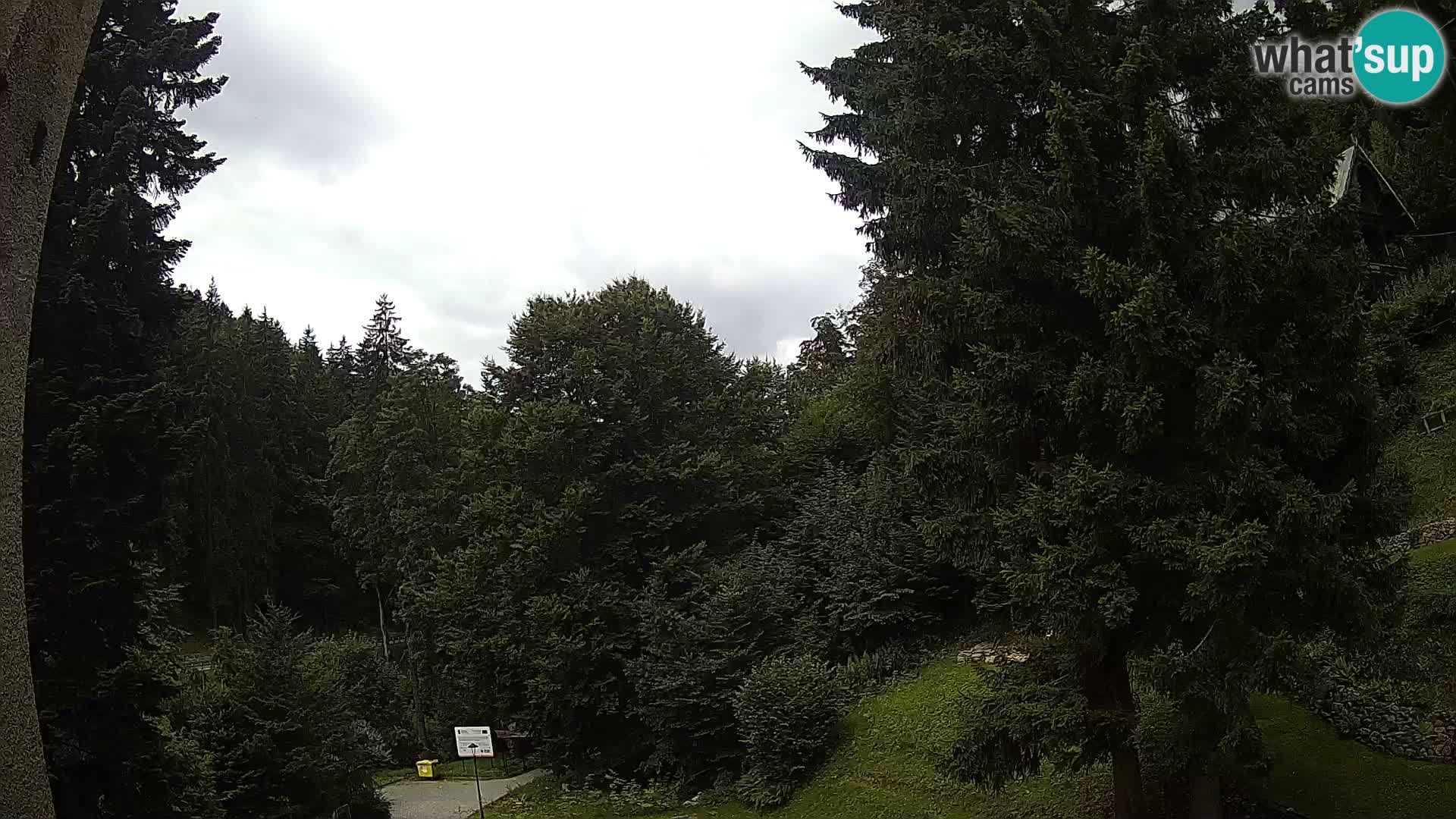 LIVE Webcam Spalona – Cross Country Ski Resort livecam Bystrzyckie Mountains