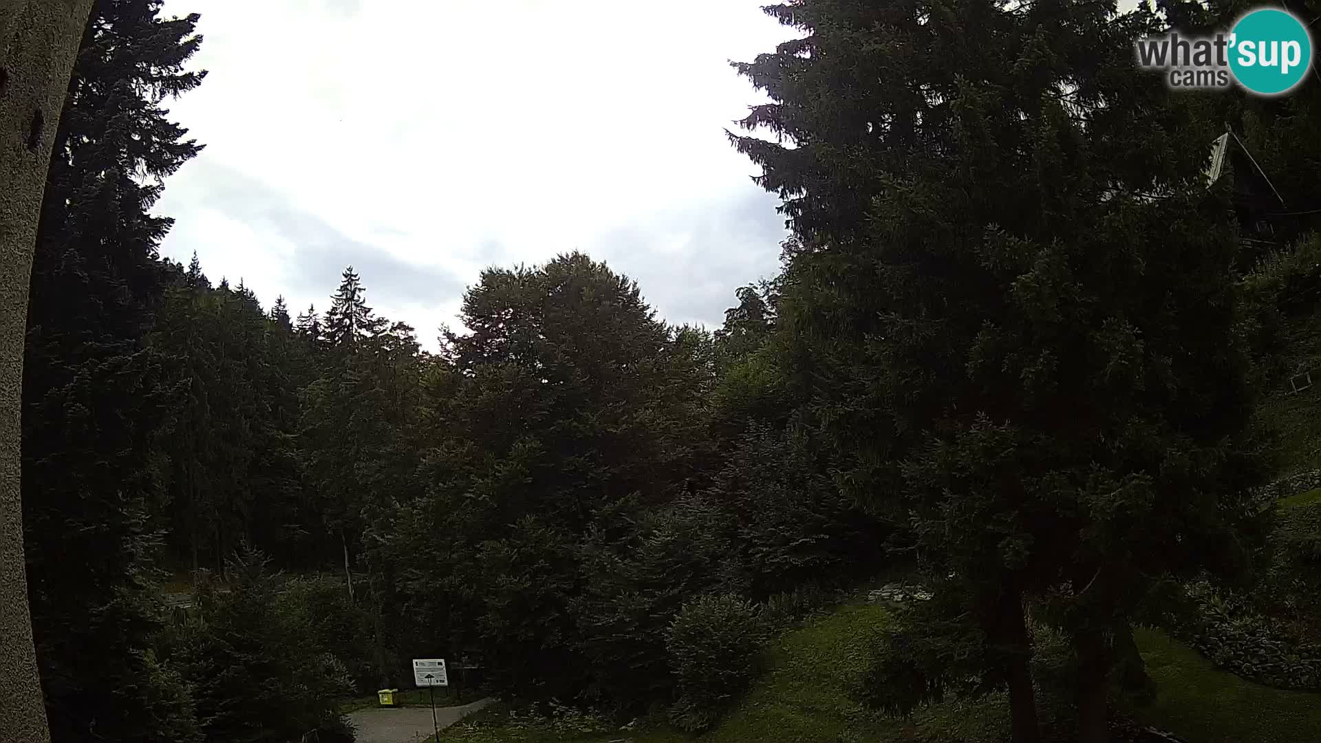 LIVE cam Spalona – Station de ski de fond Spalona webcam Montagnes Bystrzyckie