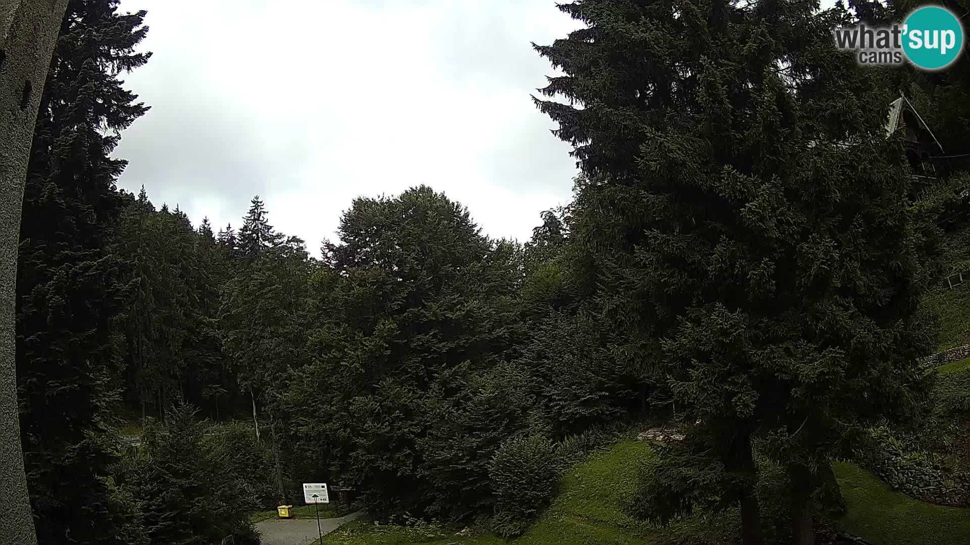 Camera en vivo Spalona – Estación de esquí de fondo webcam Montañas Bystrzyckie