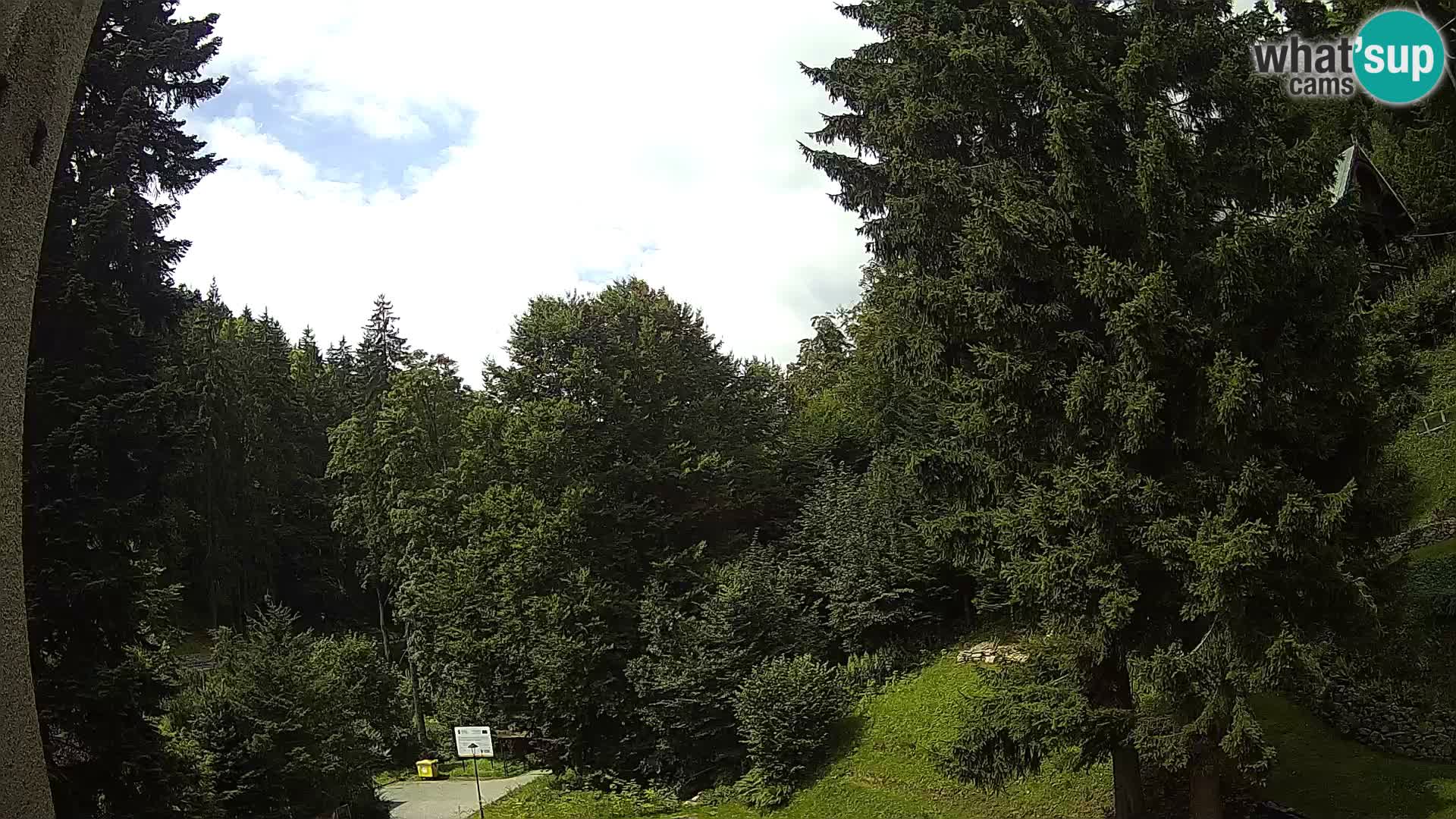 LIVE Webcam Spalona – Cross Country Ski Resort livecam Bystrzyckie Mountains
