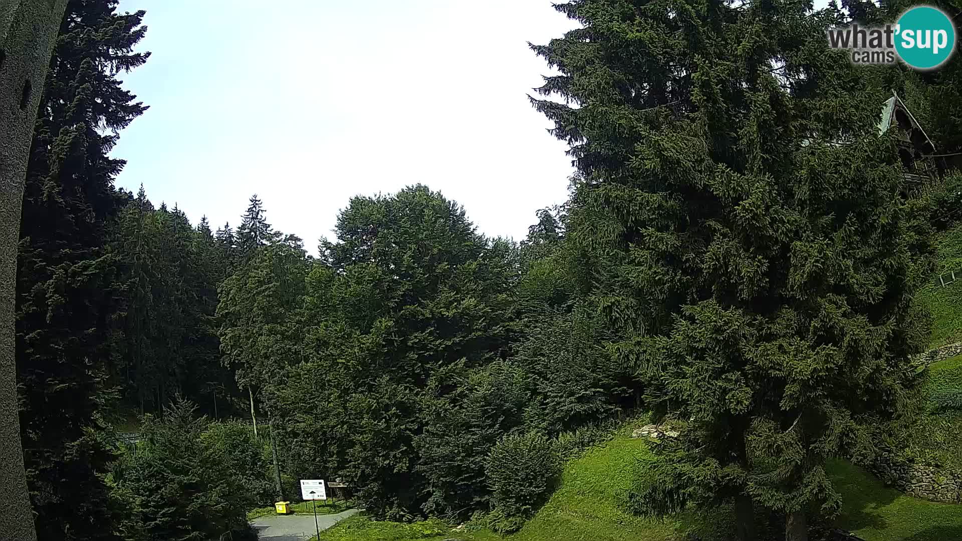 LIVE cam Spalona – Station de ski de fond Spalona webcam Montagnes Bystrzyckie