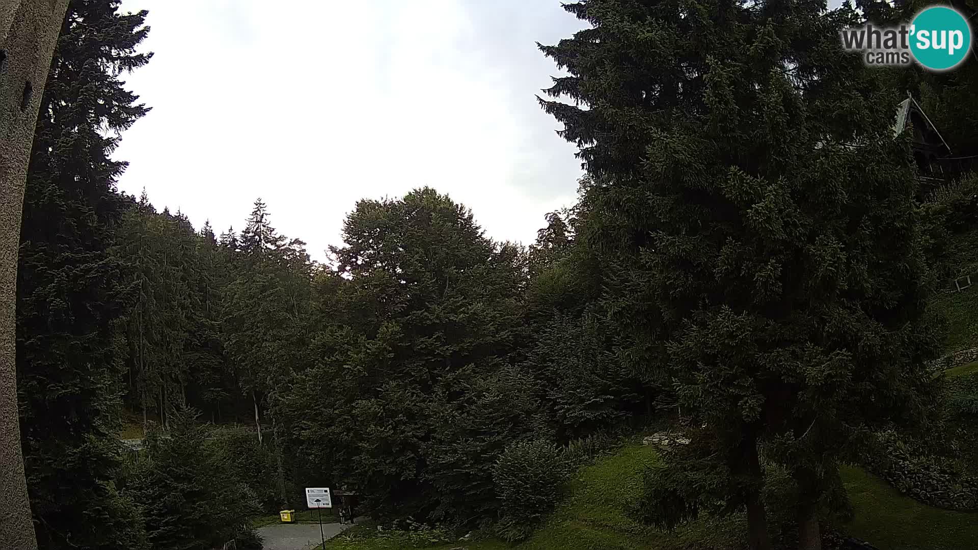 Spletna kamera Spalona – tekaški center v živo planine Bystrzyckie