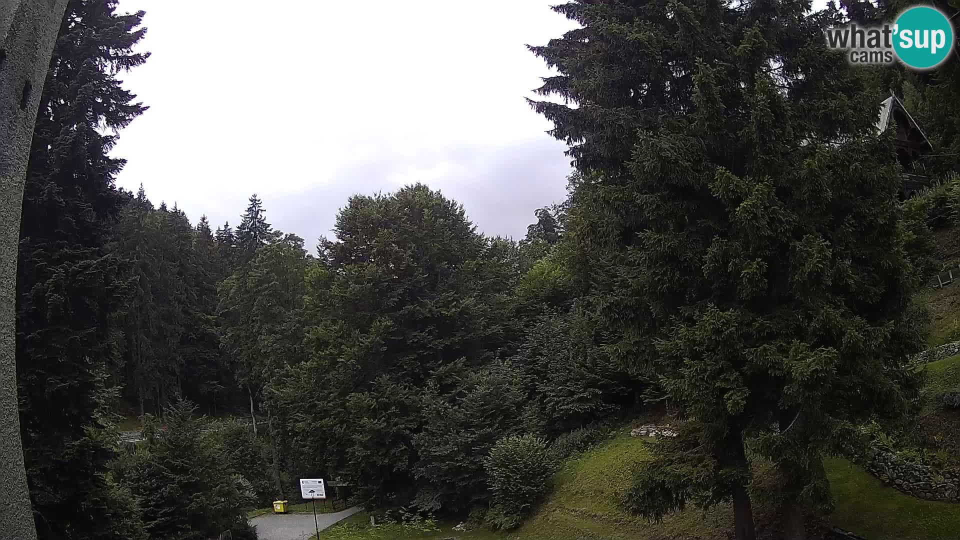 LIVE Webcam Spalona – Cross Country Ski Resort livecam Bystrzyckie Mountains