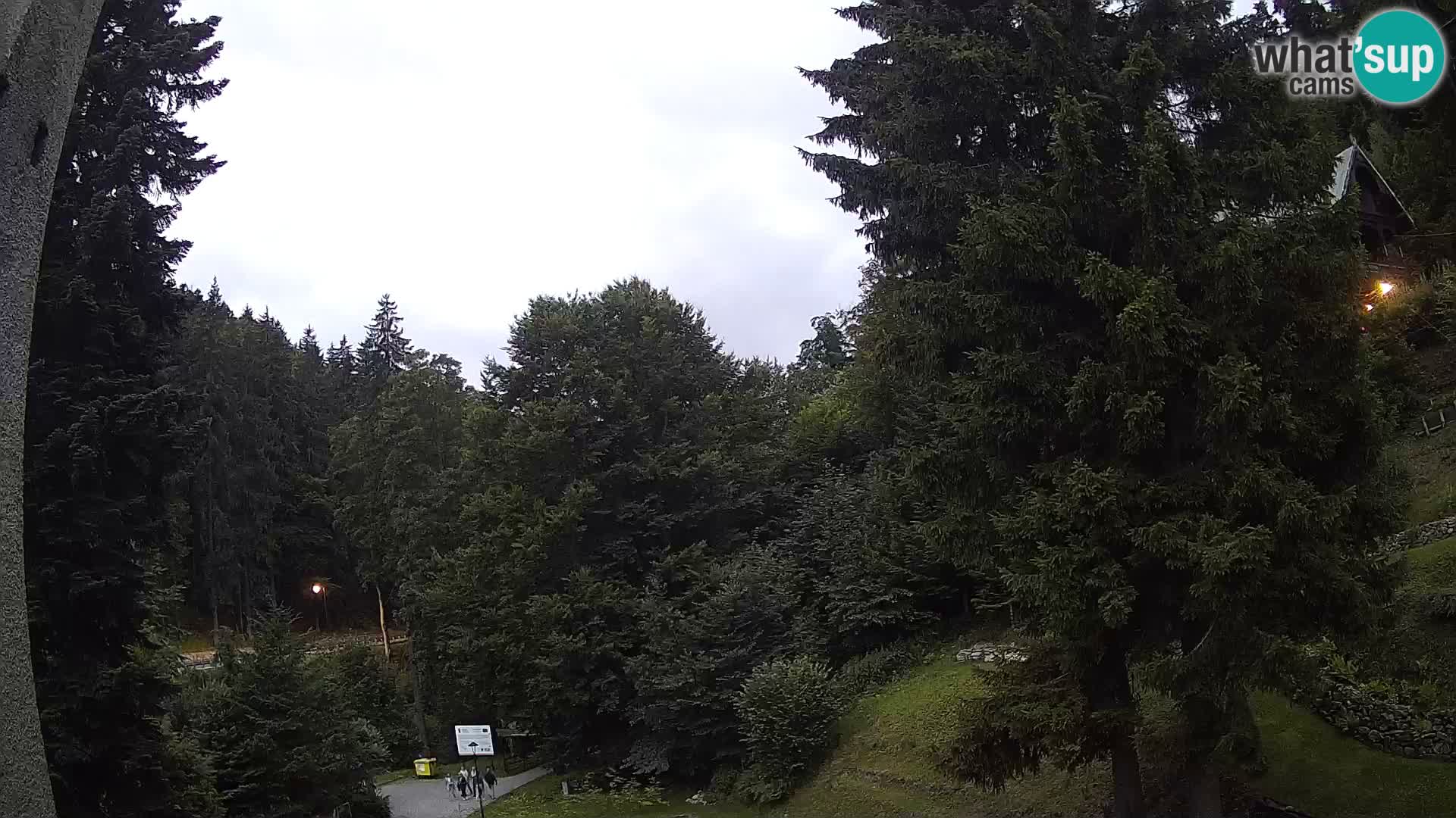 LIVE Webcam Spalona – Cross Country Ski Resort livecam Bystrzyckie Mountains