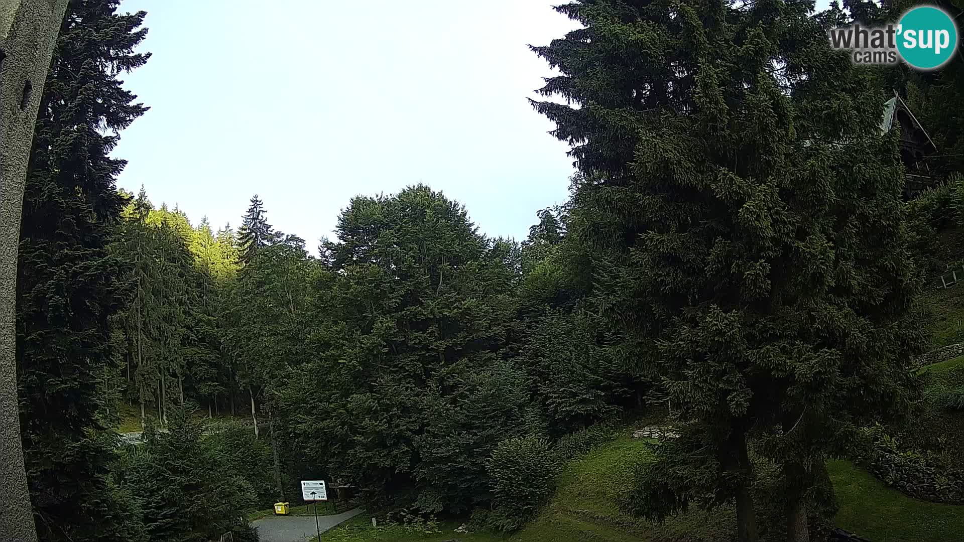 Web kamera Spalona – skijaški center u živo planine Bystrzycki