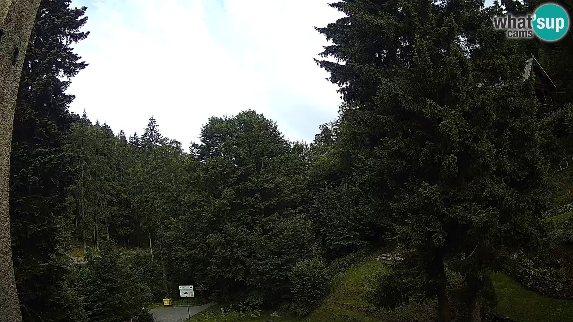 LIVE cam Spalona – Station de ski de fond Spalona webcam Montagnes Bystrzyckie