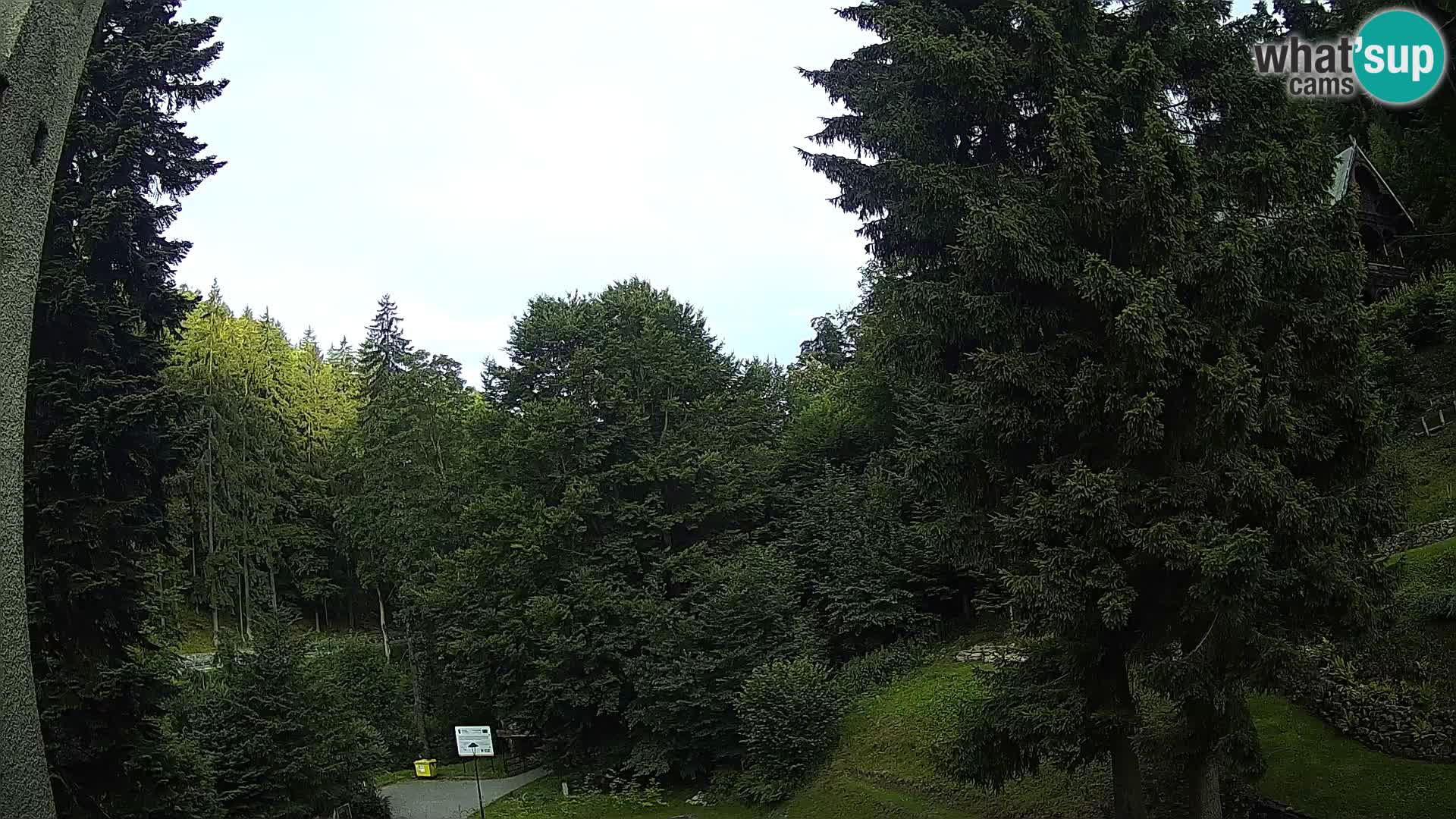 Camera en vivo Spalona – Estación de esquí de fondo webcam Montañas Bystrzyckie
