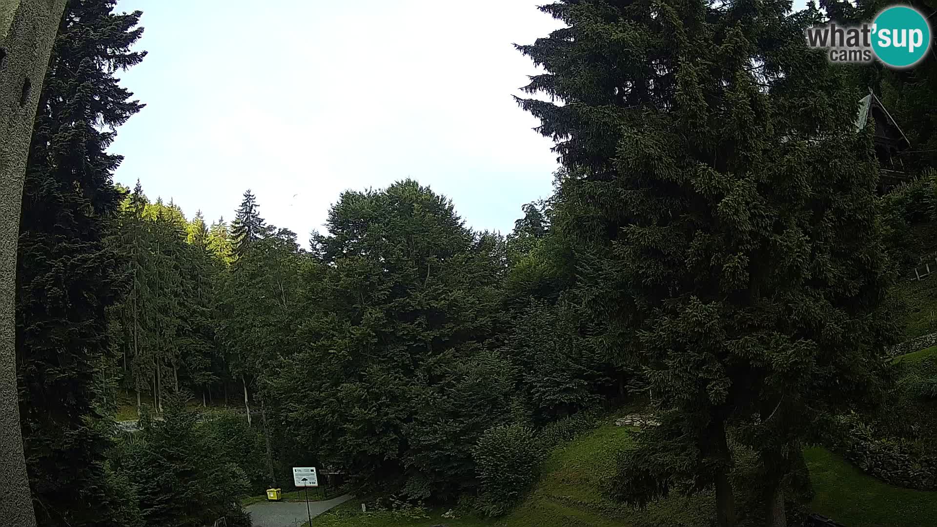 Camera en vivo Spalona – Estación de esquí de fondo webcam Montañas Bystrzyckie
