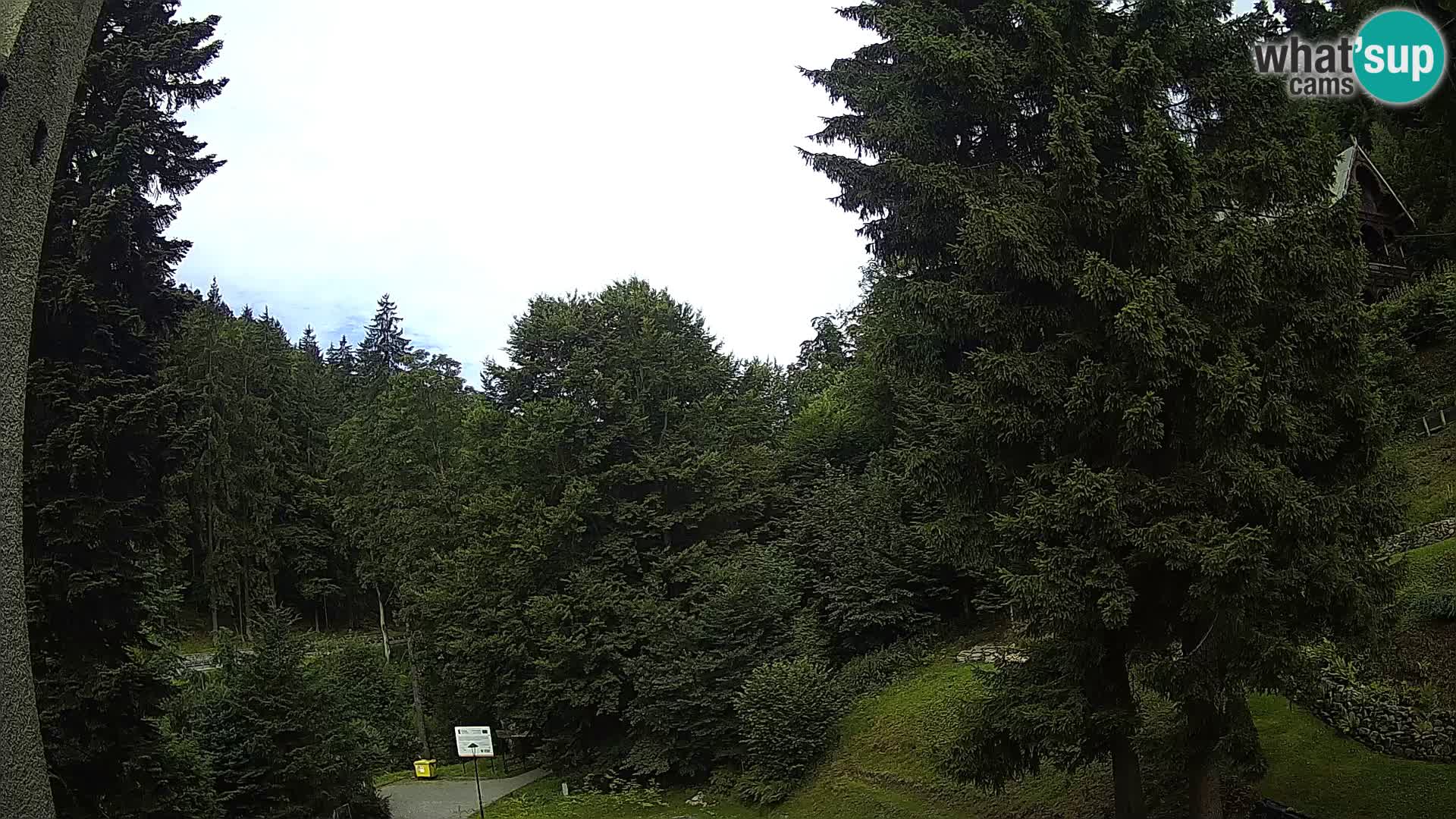 Camera en vivo Spalona – Estación de esquí de fondo webcam Montañas Bystrzyckie