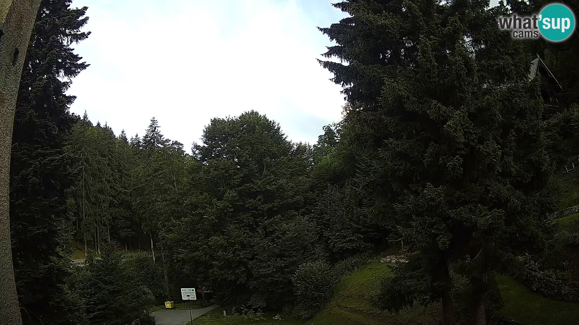 LIVE cam Spalona – Station de ski de fond Spalona webcam Montagnes Bystrzyckie