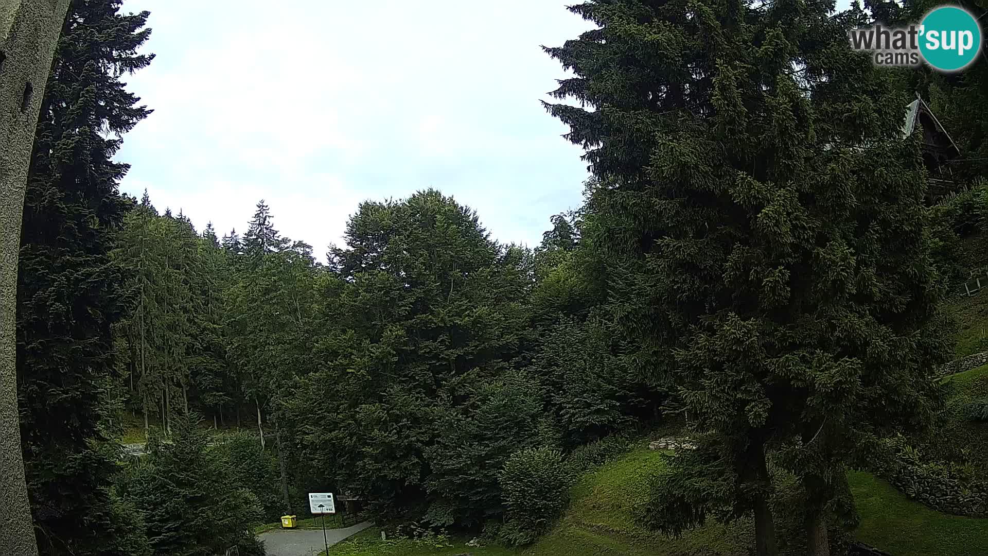 LIVE Webcam Spalona – Langlaufgebiet livecam Bystrzyckie Berge