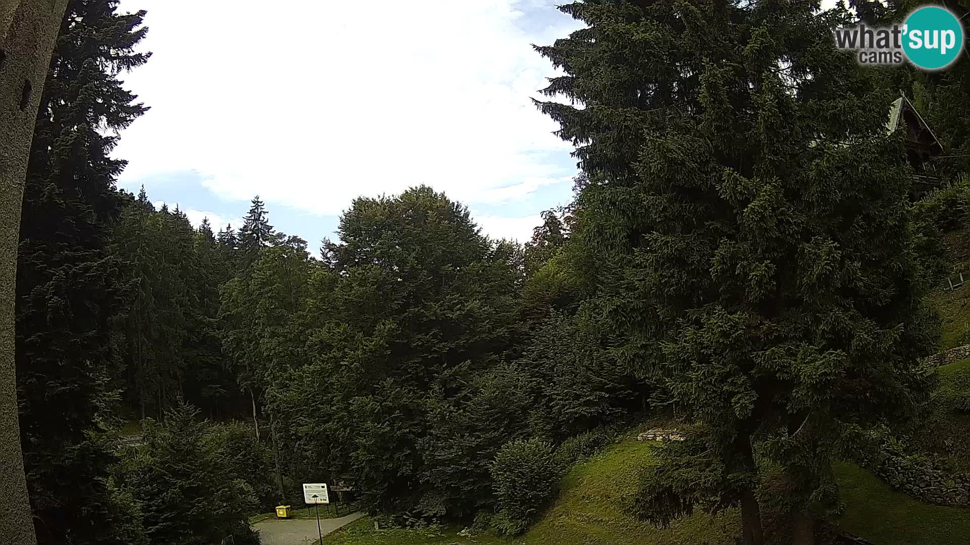 Webcam Spalona – centro scii da fondo live cam montagne Bystrzycki