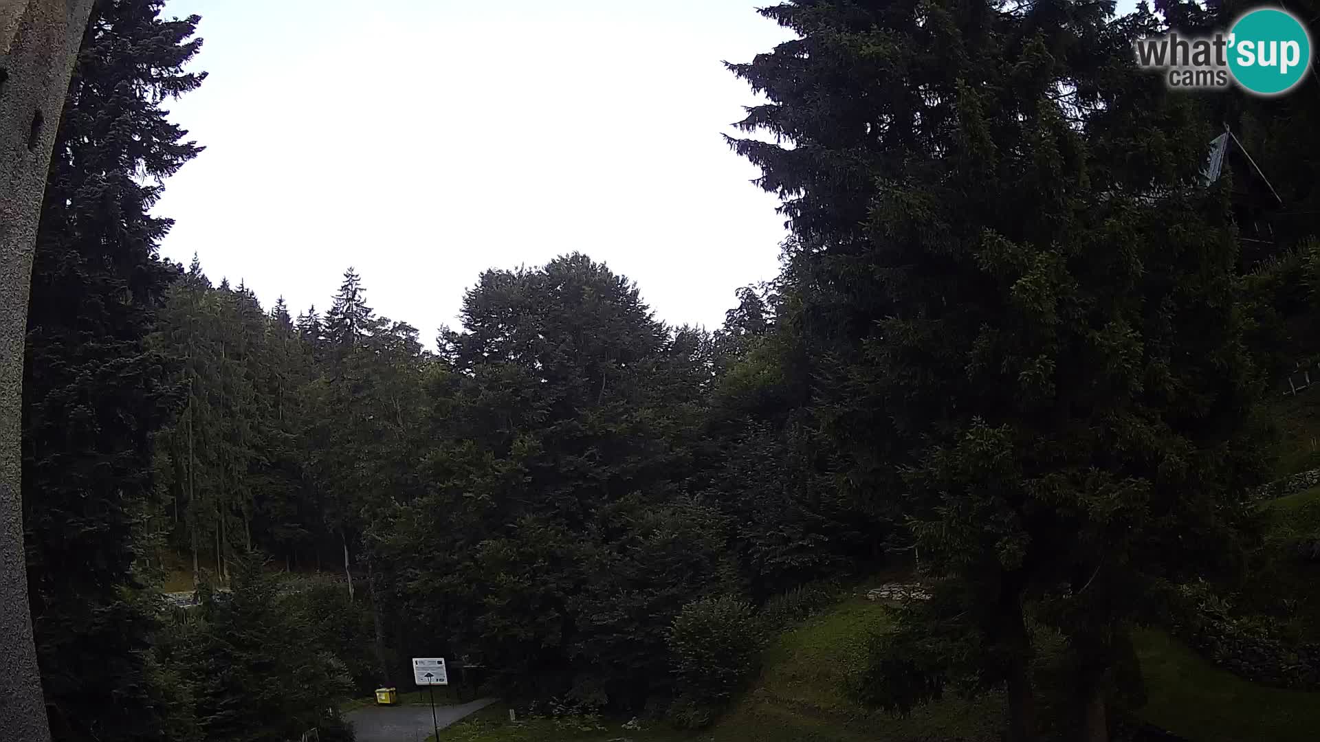LIVE Webcam Spalona – Cross Country Ski Resort livecam Bystrzyckie Mountains