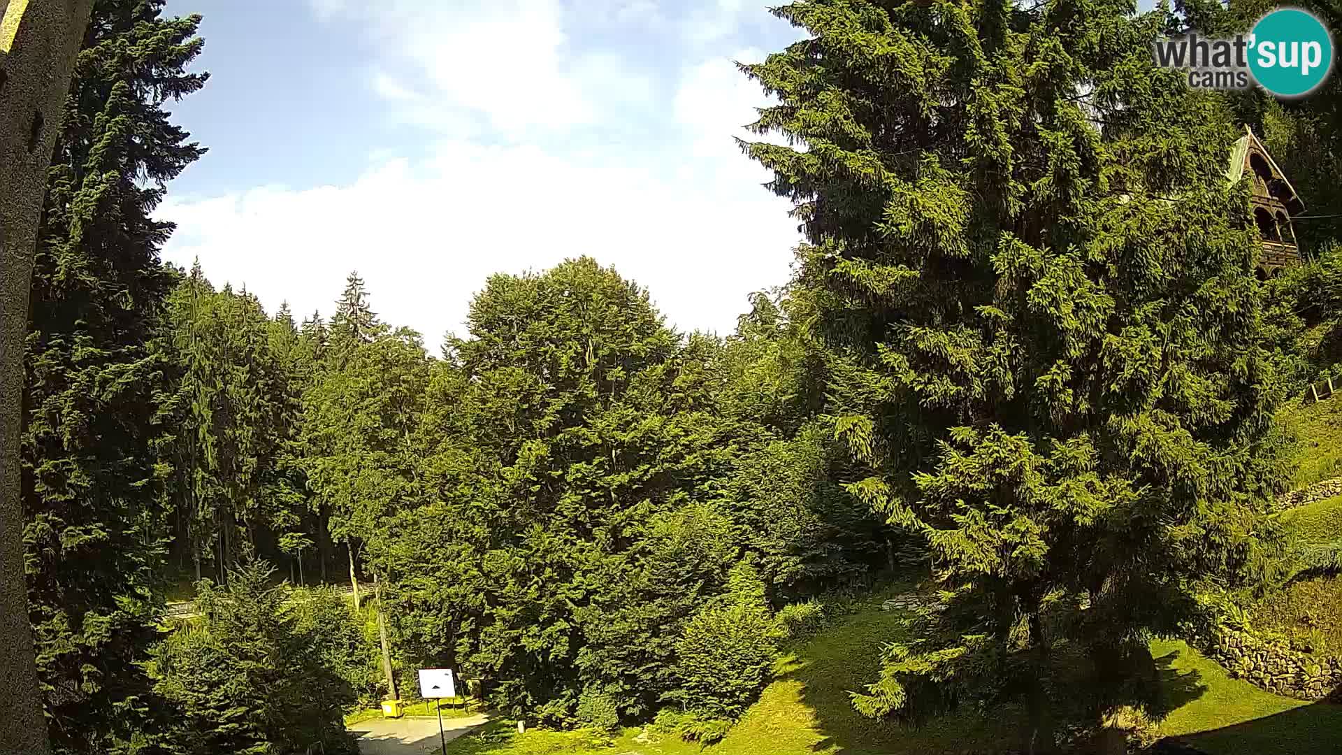 LIVE Webcam Spalona – Cross Country Ski Resort livecam Bystrzyckie Mountains