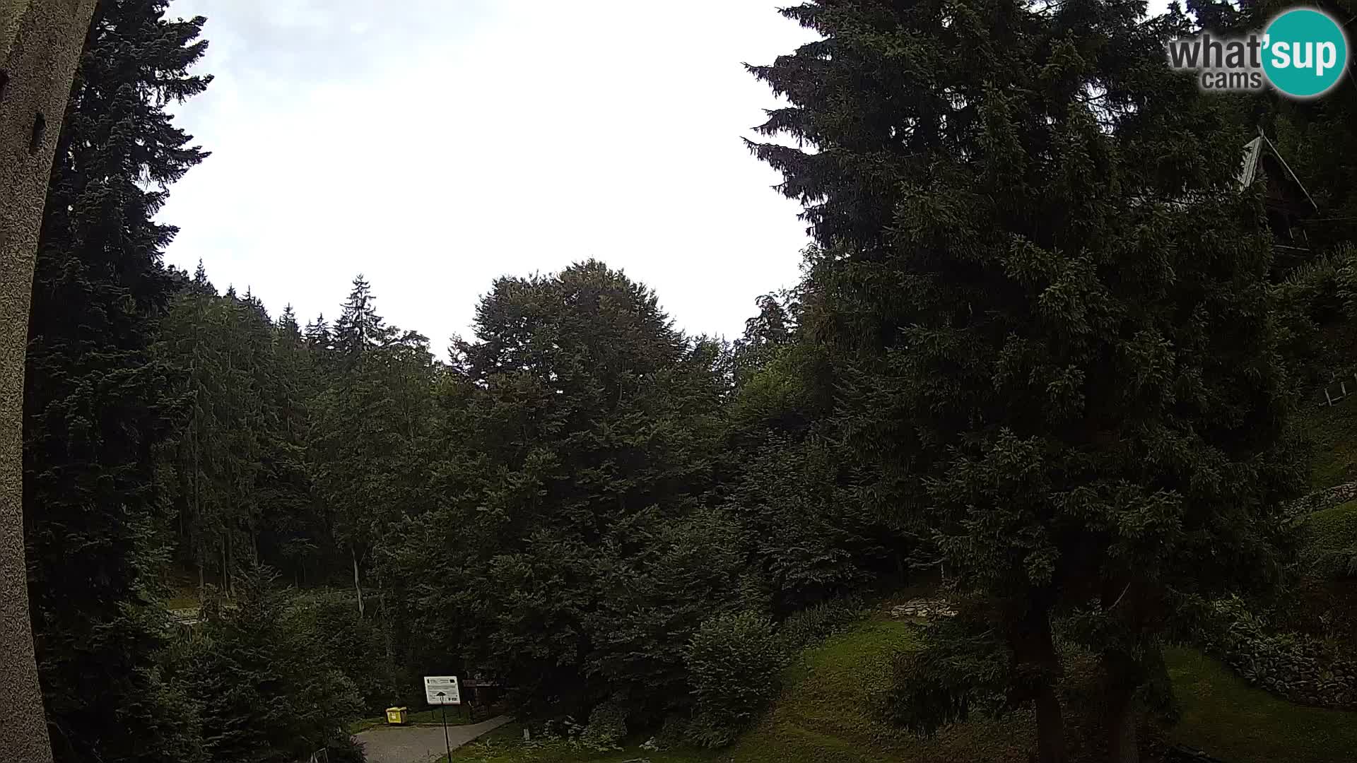 Camera en vivo Spalona – Estación de esquí de fondo webcam Montañas Bystrzyckie