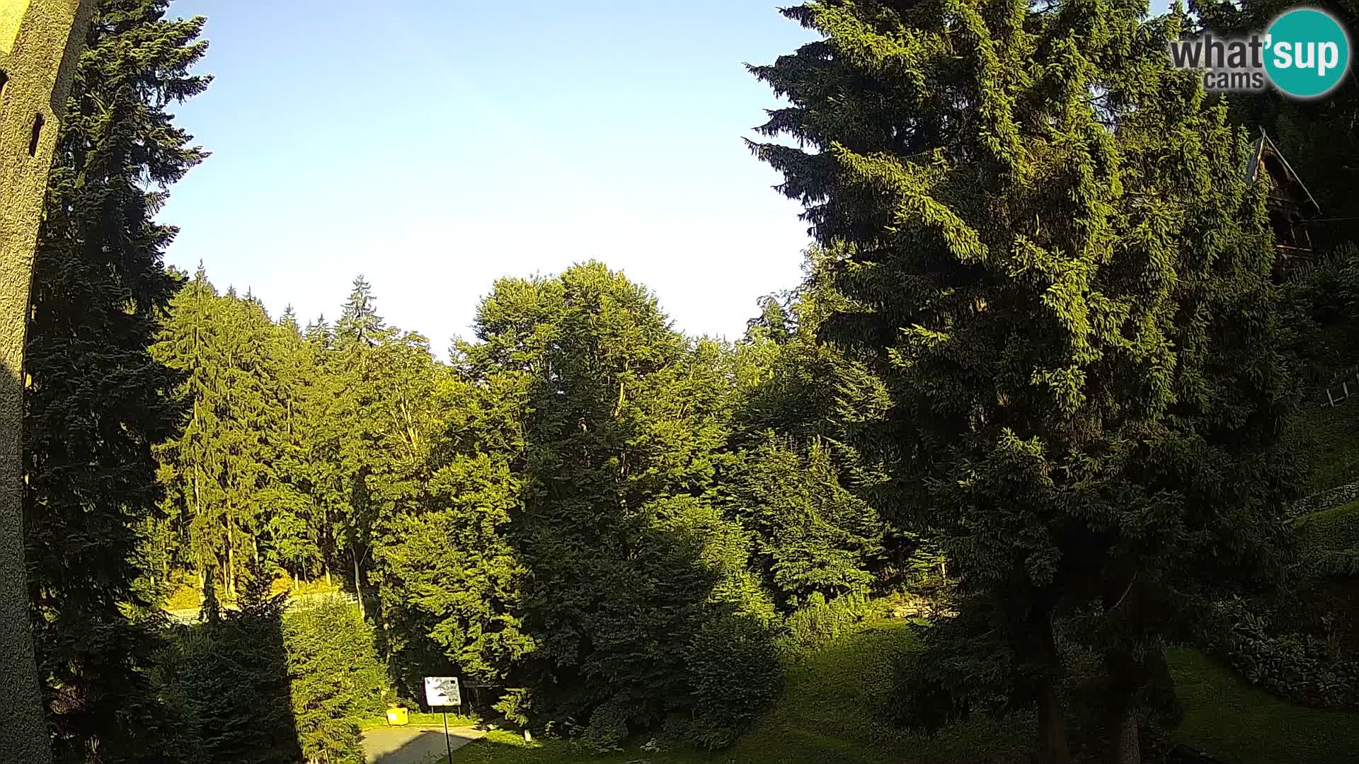 LIVE Webcam Spalona – Cross Country Ski Resort livecam Bystrzyckie Mountains