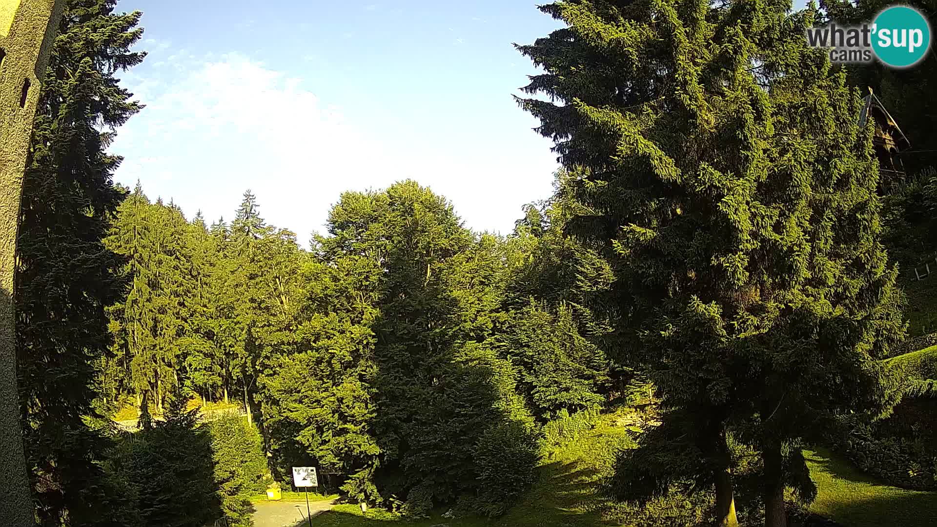 LIVE Webcam Spalona – Langlaufgebiet livecam Bystrzyckie Berge
