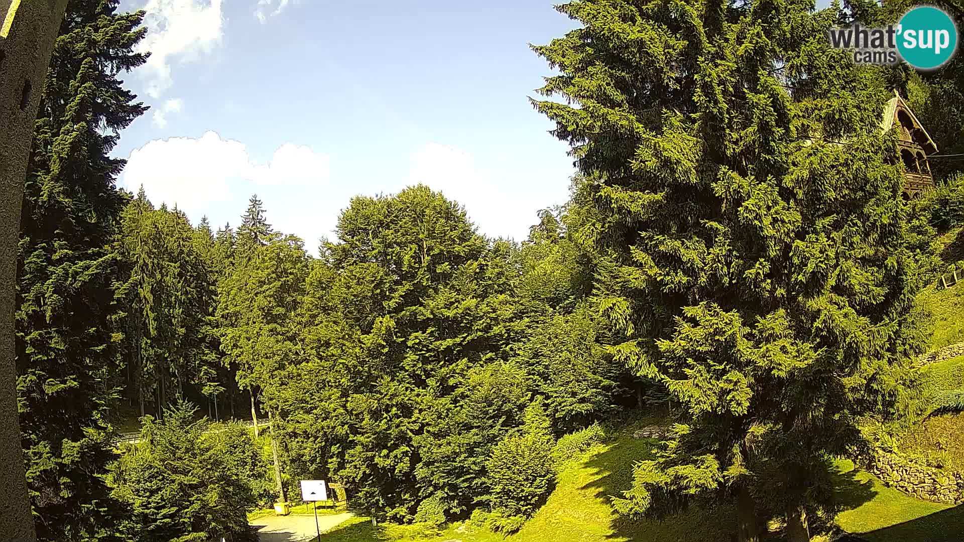 LIVE Webcam Spalona – Cross Country Ski Resort livecam Bystrzyckie Mountains