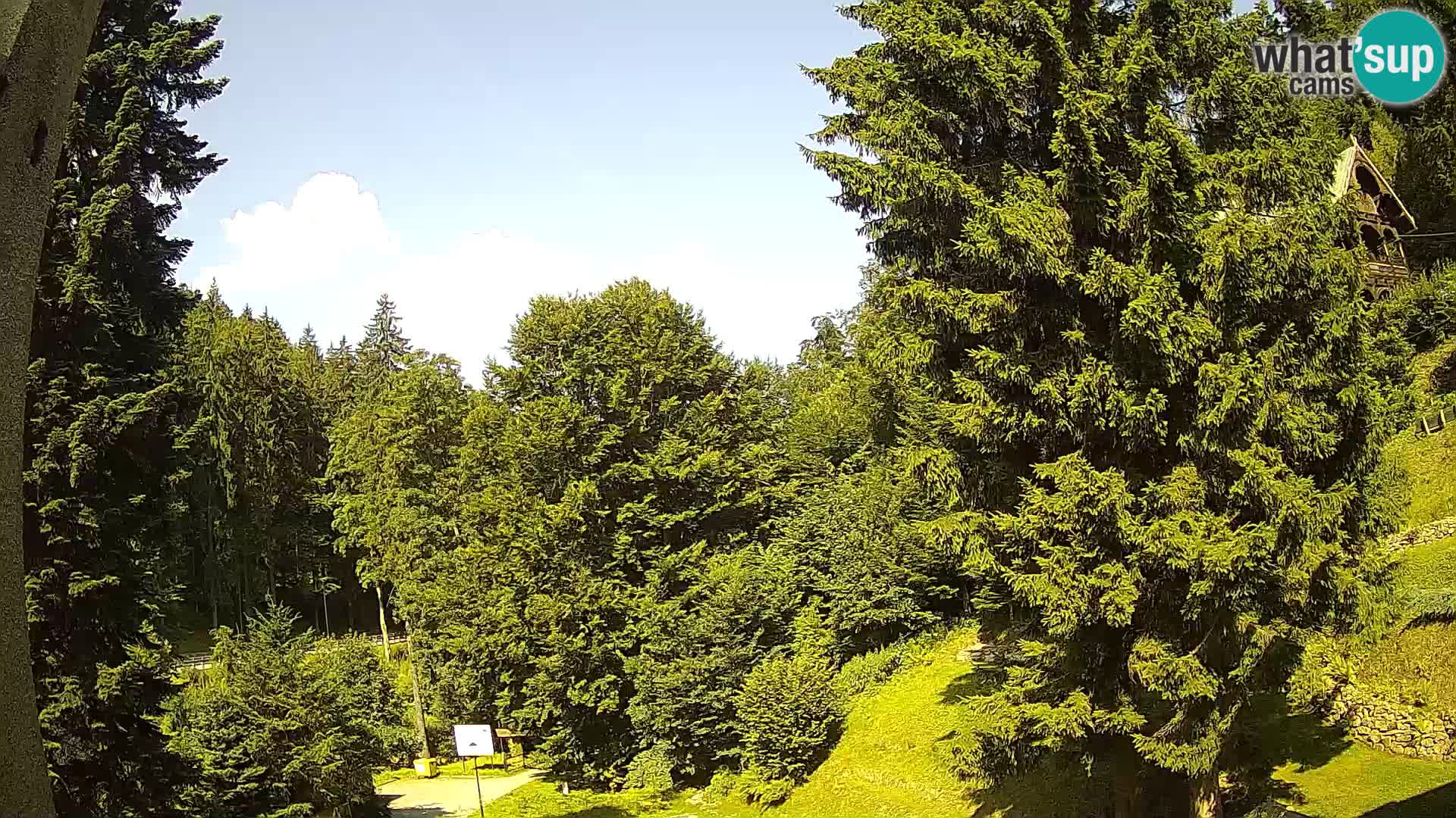 Webcam Spalona – centro scii da fondo live cam montagne Bystrzycki