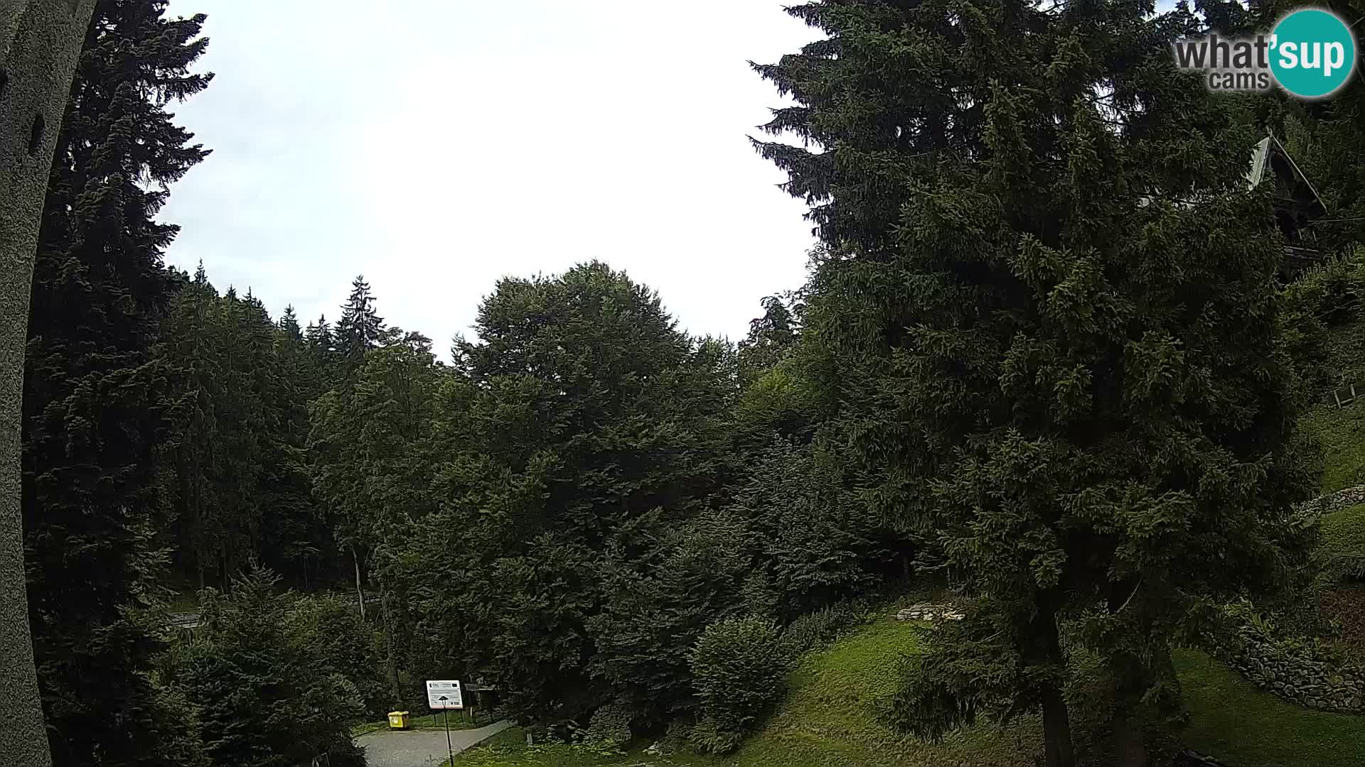Webcam Spalona – centro scii da fondo live cam montagne Bystrzycki