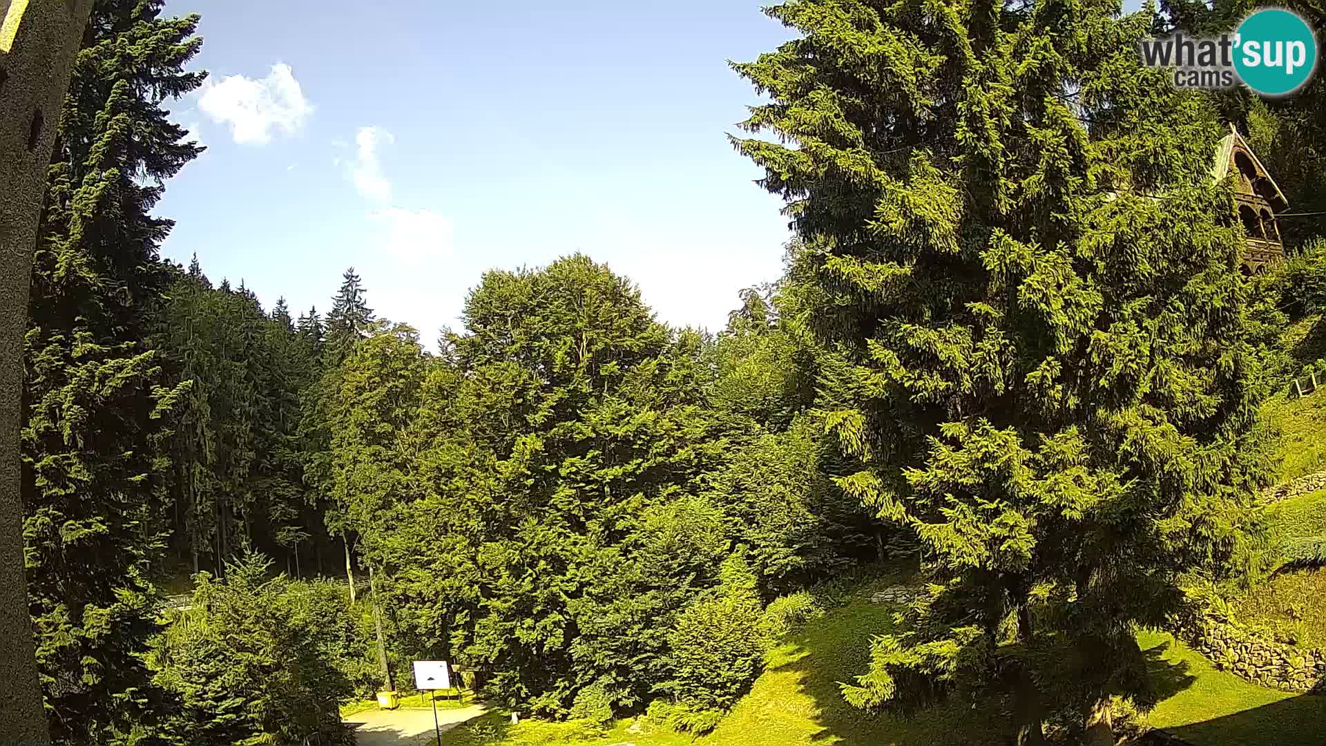 LIVE Webcam Spalona – Langlaufgebiet livecam Bystrzyckie Berge
