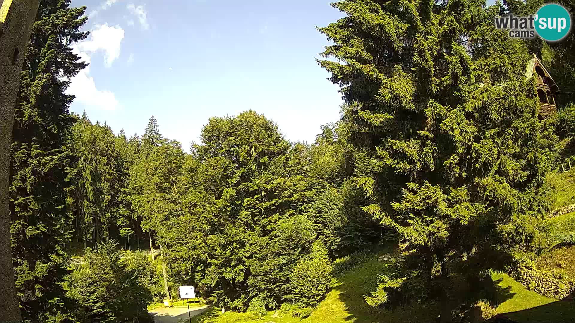 LIVE Webcam Spalona – Langlaufgebiet livecam Bystrzyckie Berge