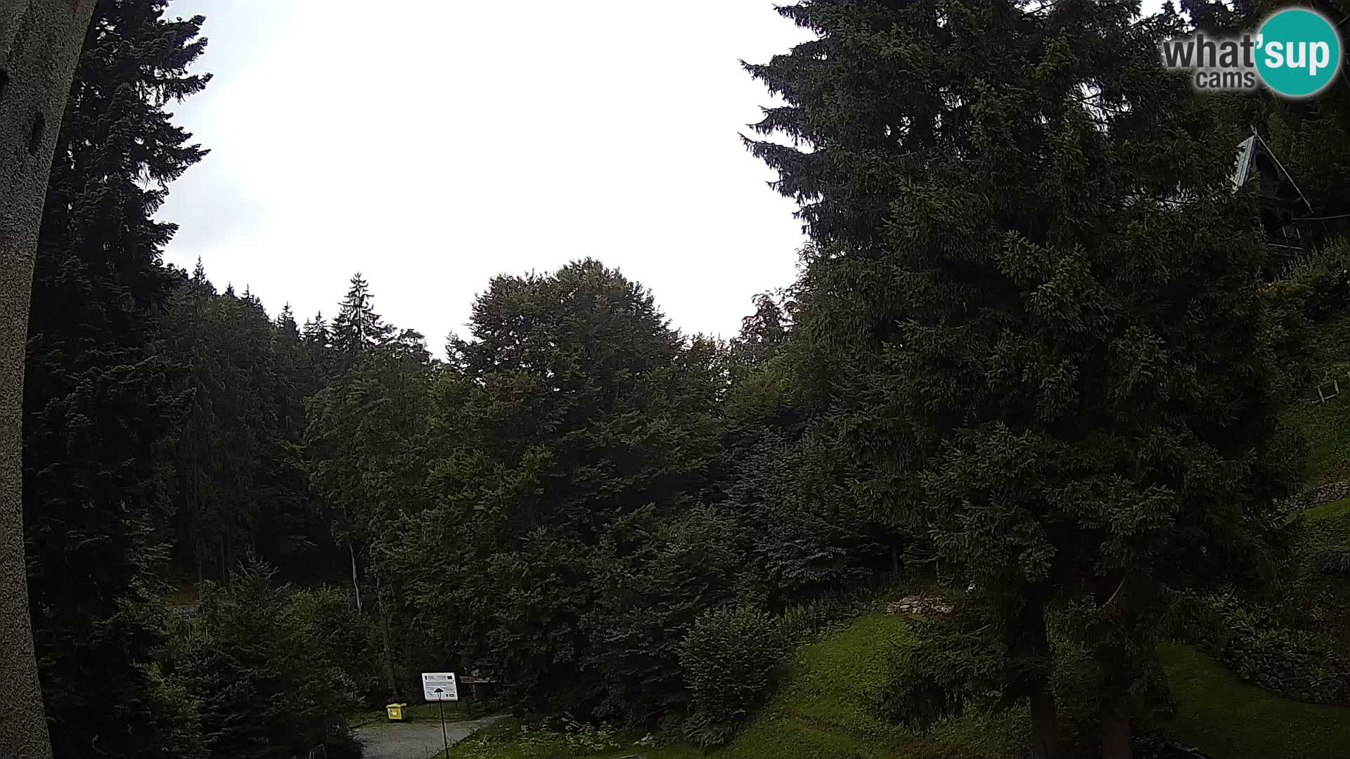 LIVE Webcam Spalona – Cross Country Ski Resort livecam Bystrzyckie Mountains