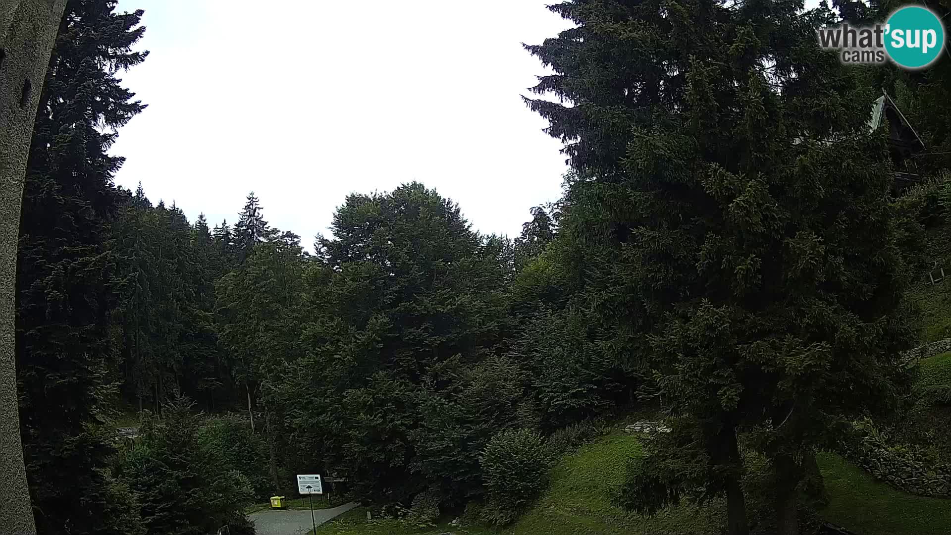 LIVE Webcam Spalona – Langlaufgebiet livecam Bystrzyckie Berge