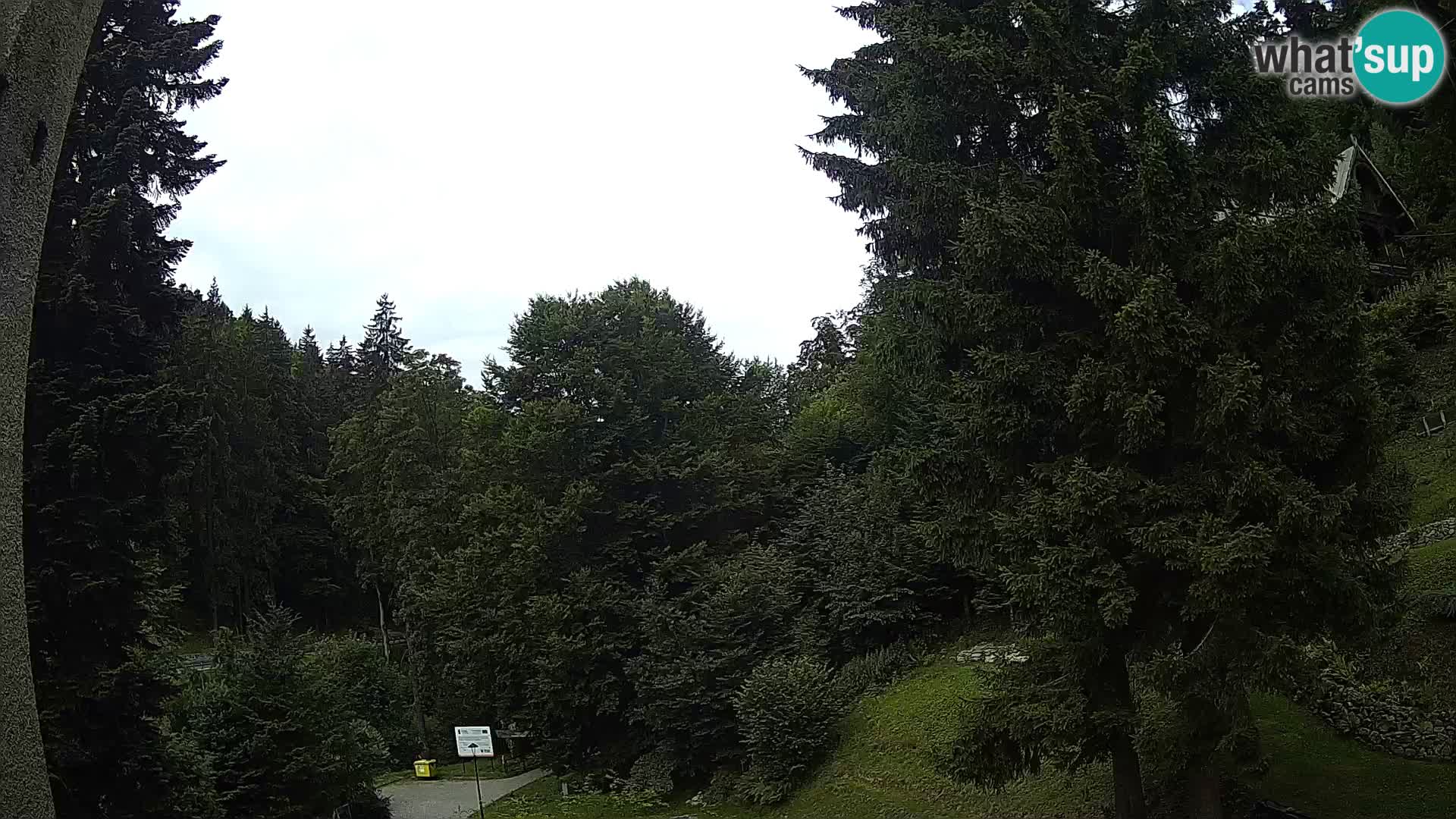 Webcam Spalona – centro scii da fondo live cam montagne Bystrzycki