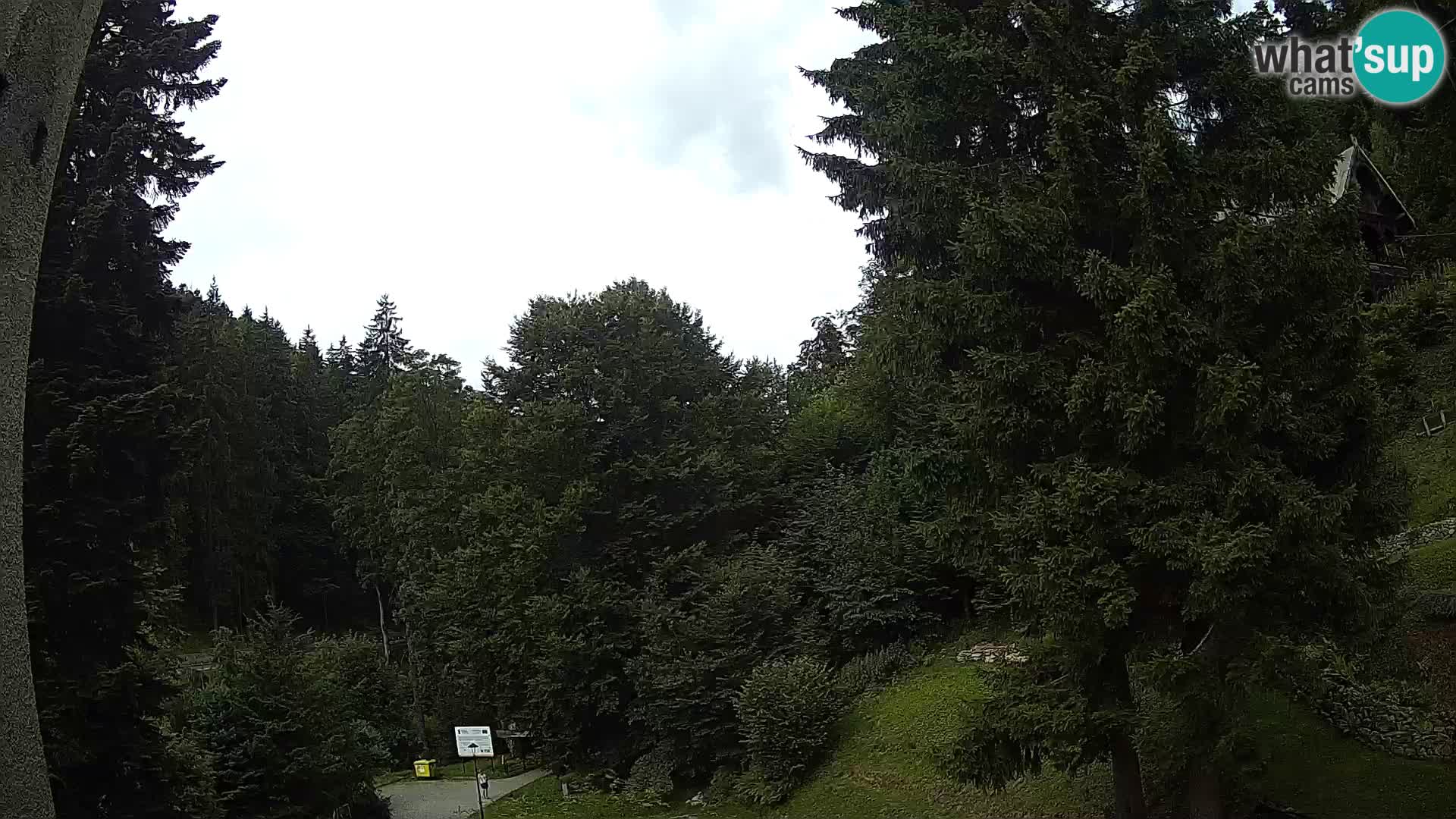 LIVE cam Spalona – Station de ski de fond Spalona webcam Montagnes Bystrzyckie