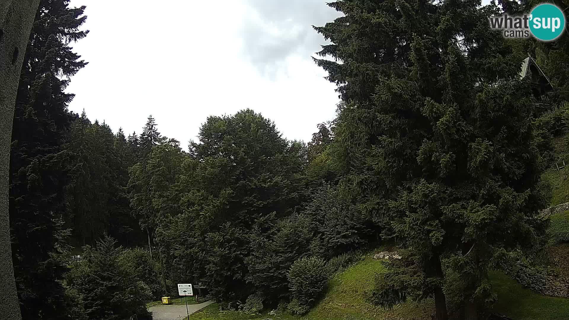 LIVE Webcam Spalona – Langlaufgebiet livecam Bystrzyckie Berge