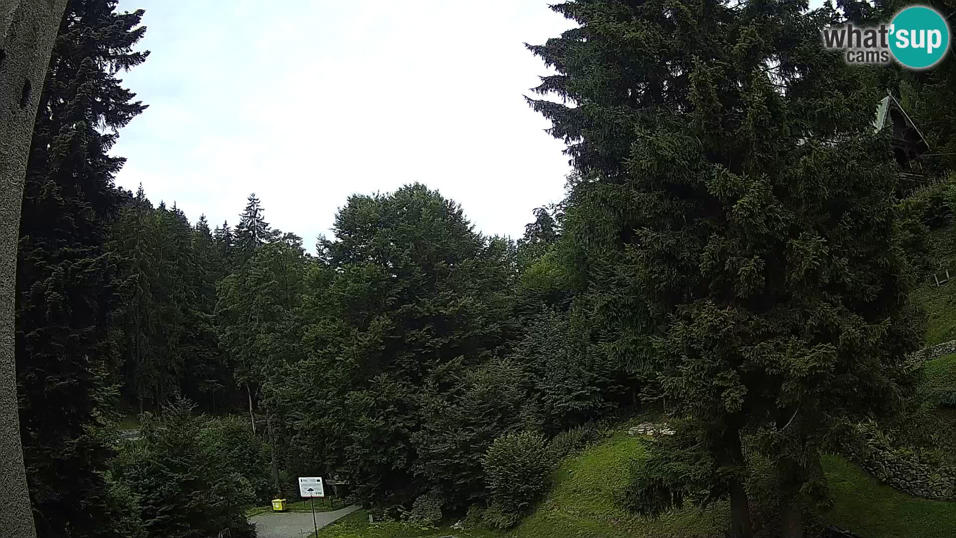 LIVE Webcam Spalona – Langlaufgebiet livecam Bystrzyckie Berge