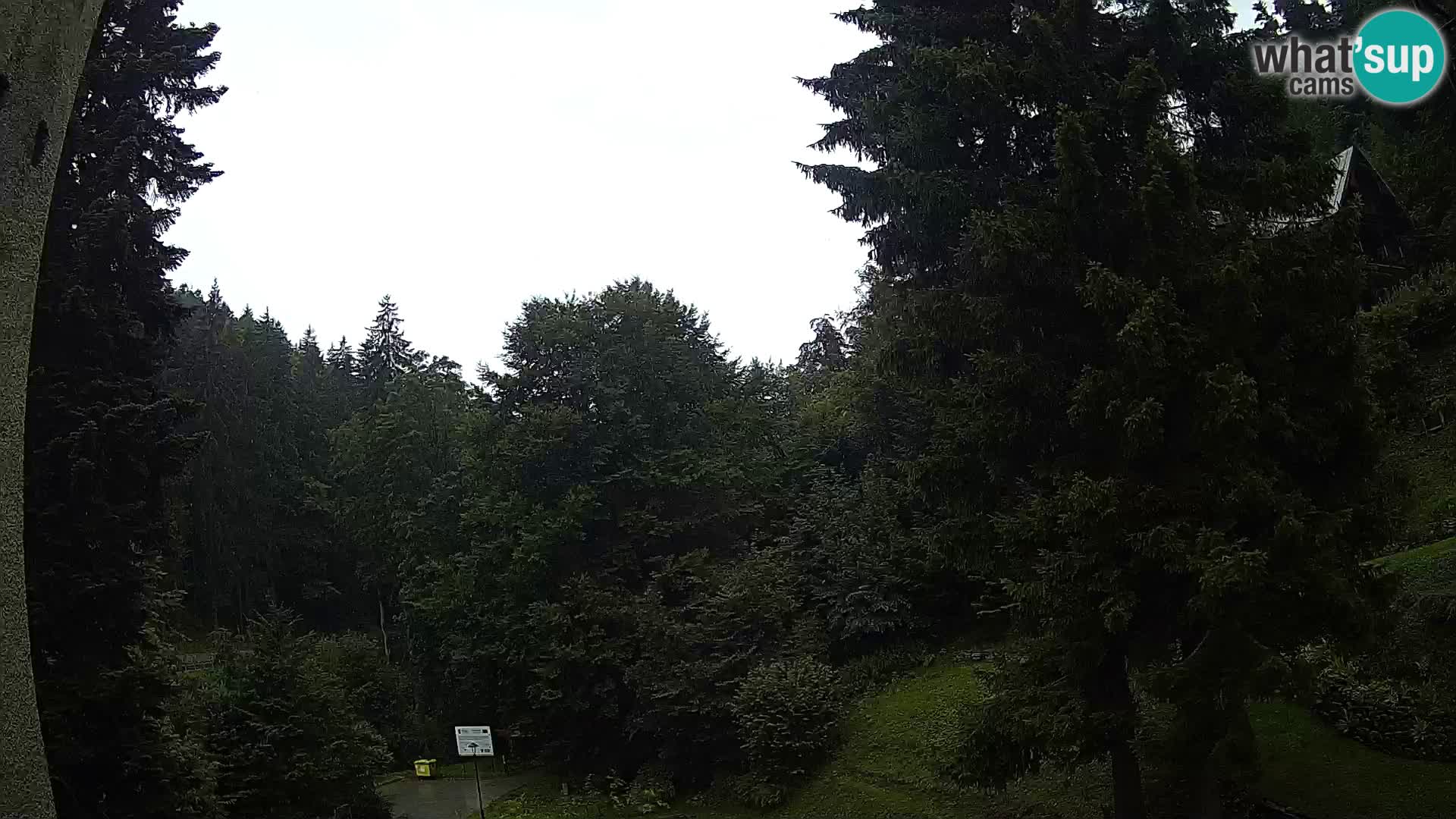 LIVE Webcam Spalona – Cross Country Ski Resort livecam Bystrzyckie Mountains