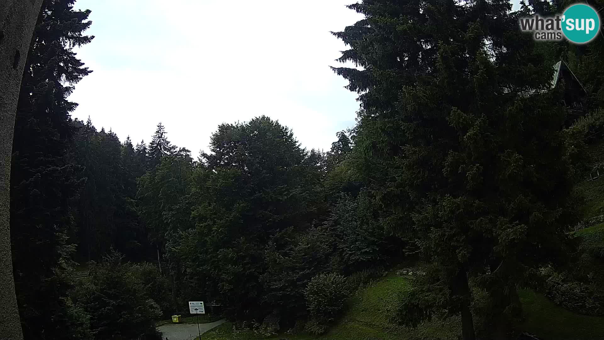Webcam Spalona – centro scii da fondo live cam montagne Bystrzycki