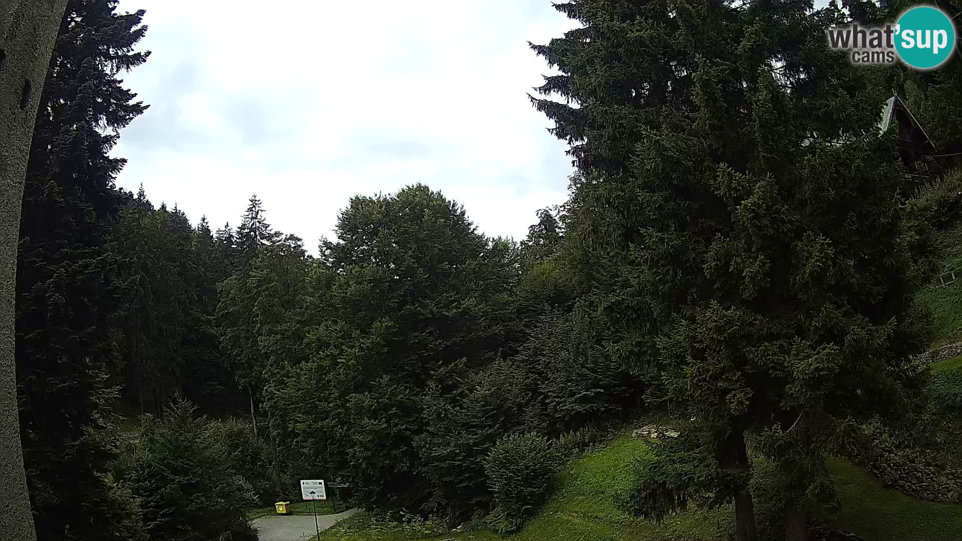 Webcam Spalona – centro scii da fondo live cam montagne Bystrzycki