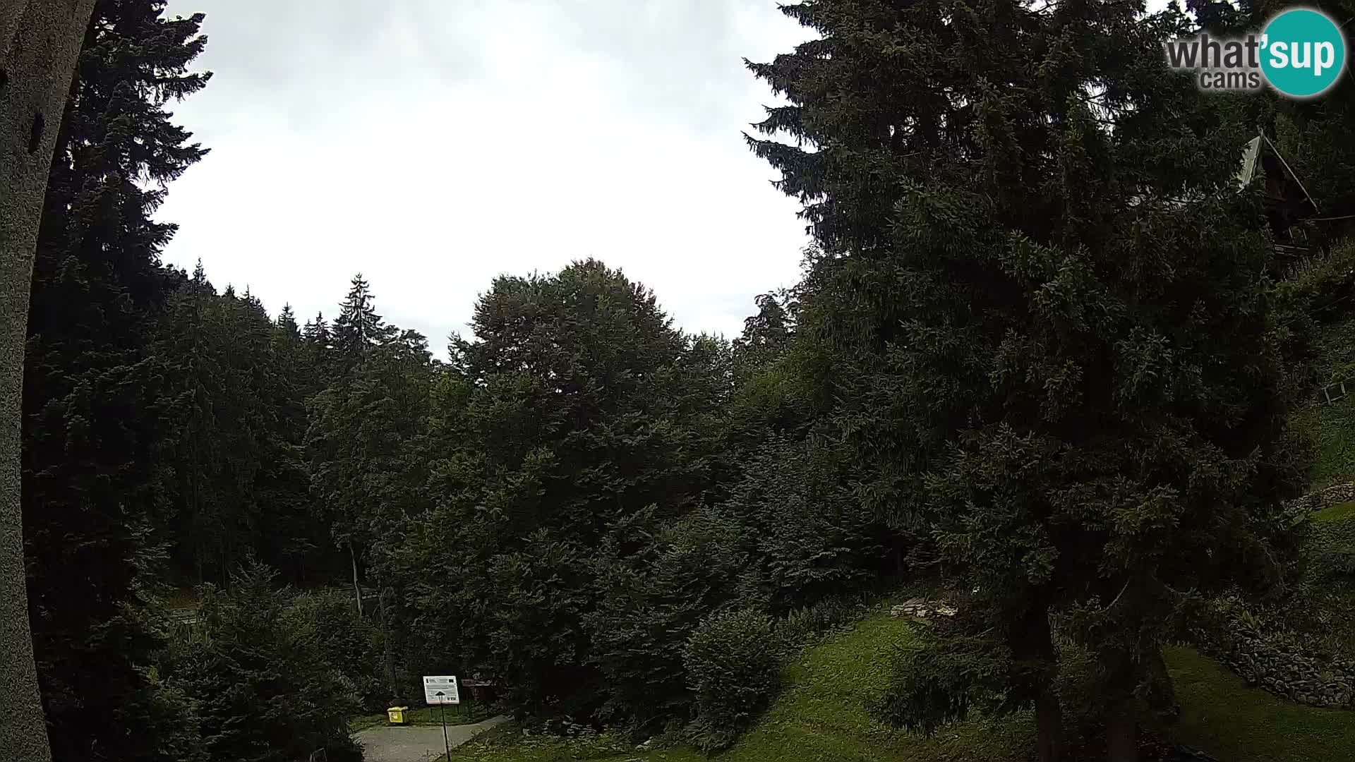 LIVE Webcam Spalona – Cross Country Ski Resort livecam Bystrzyckie Mountains