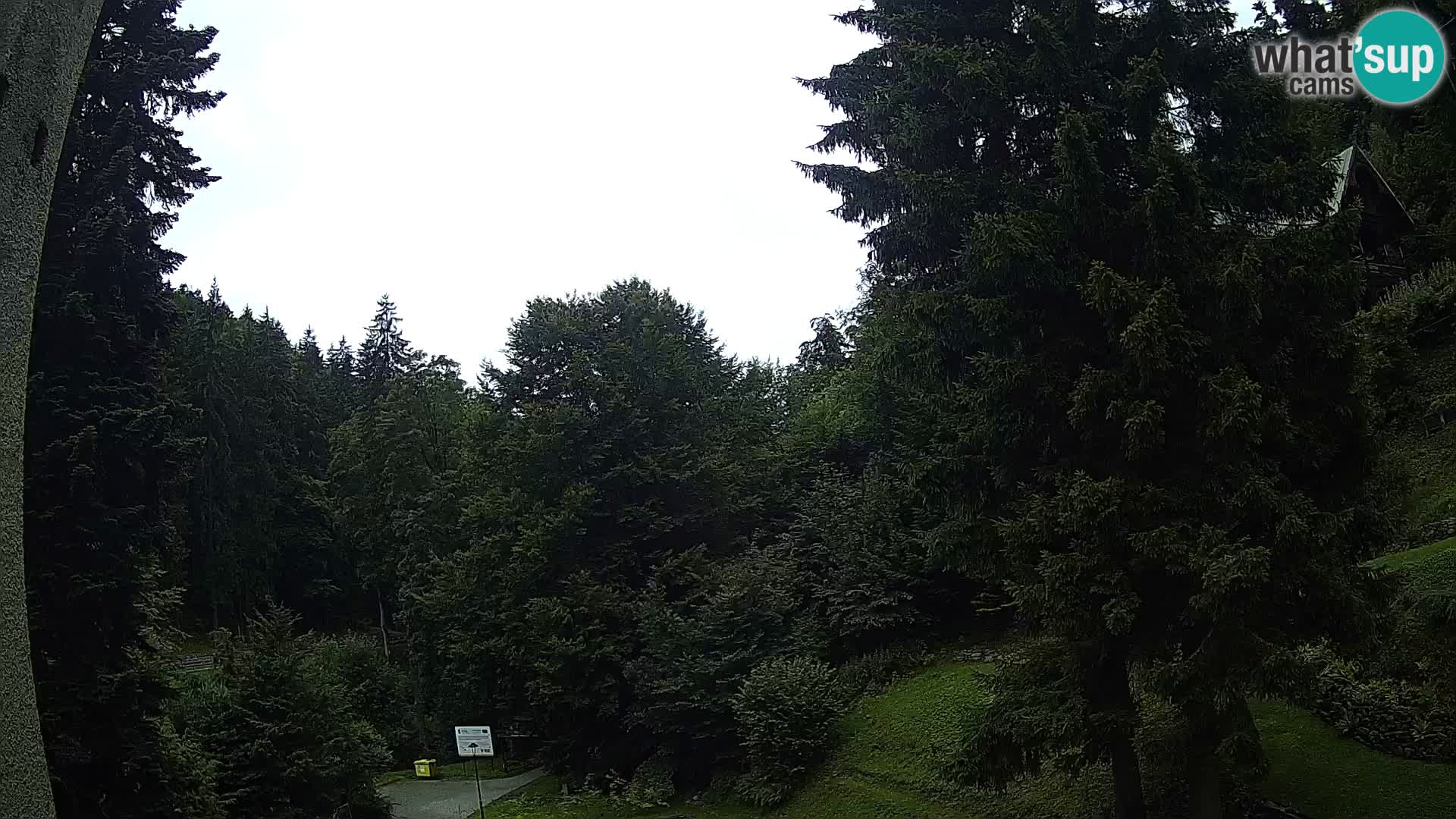 Webcam Spalona – centro scii da fondo live cam montagne Bystrzycki