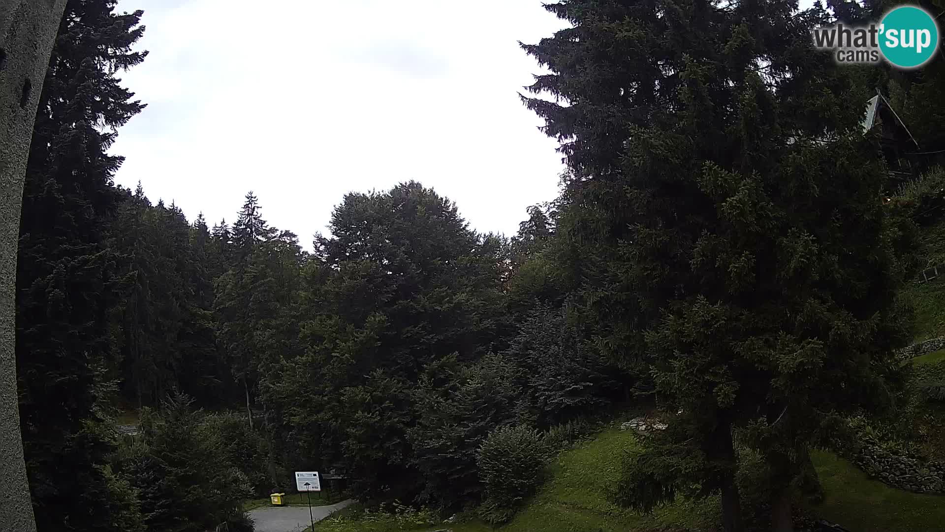 Camera en vivo Spalona – Estación de esquí de fondo webcam Montañas Bystrzyckie