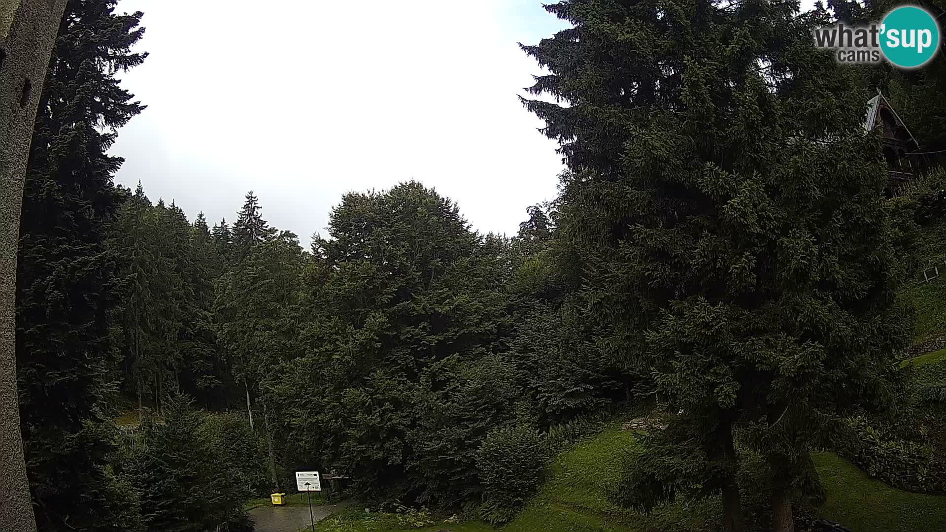 LIVE Webcam Spalona – Langlaufgebiet livecam Bystrzyckie Berge