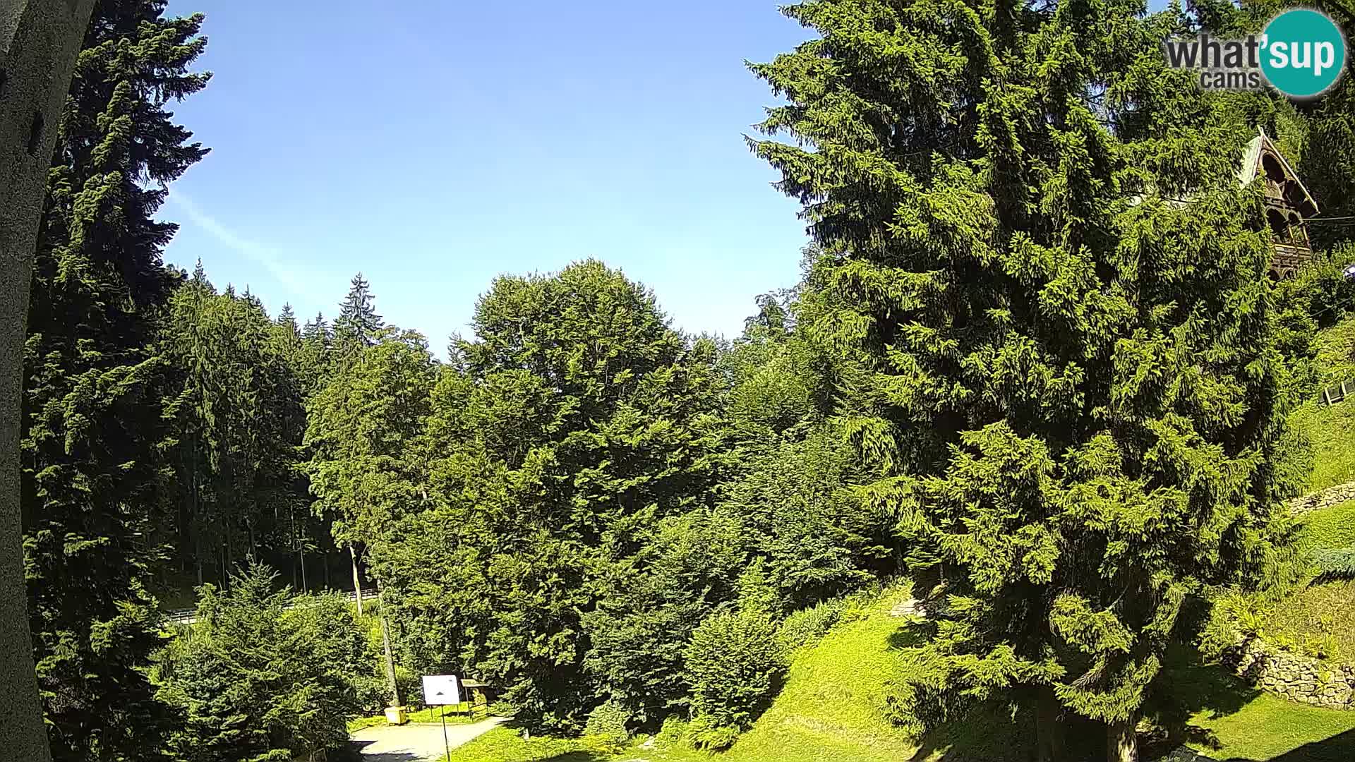 LIVE Webcam Spalona – Cross Country Ski Resort livecam Bystrzyckie Mountains