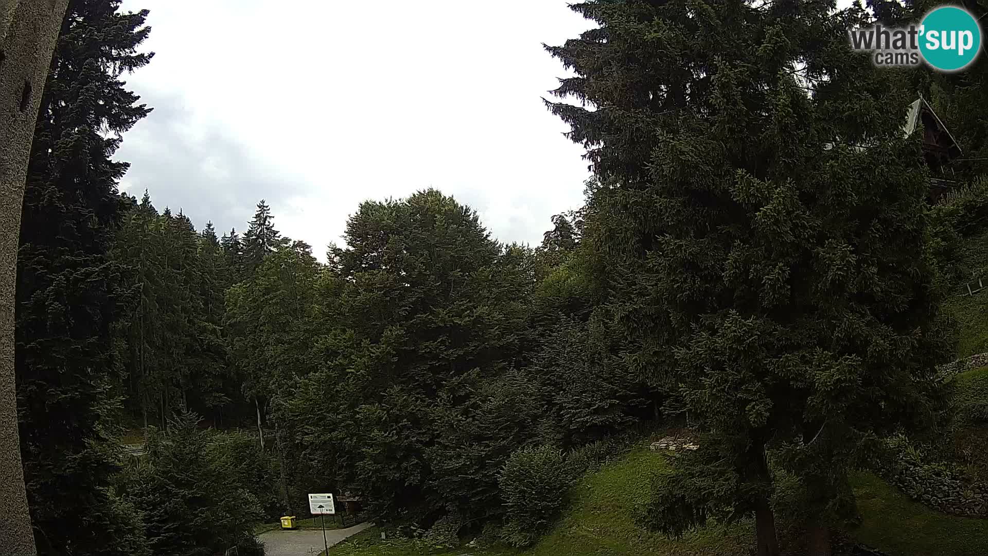 Webcam Spalona – centro scii da fondo live cam montagne Bystrzycki