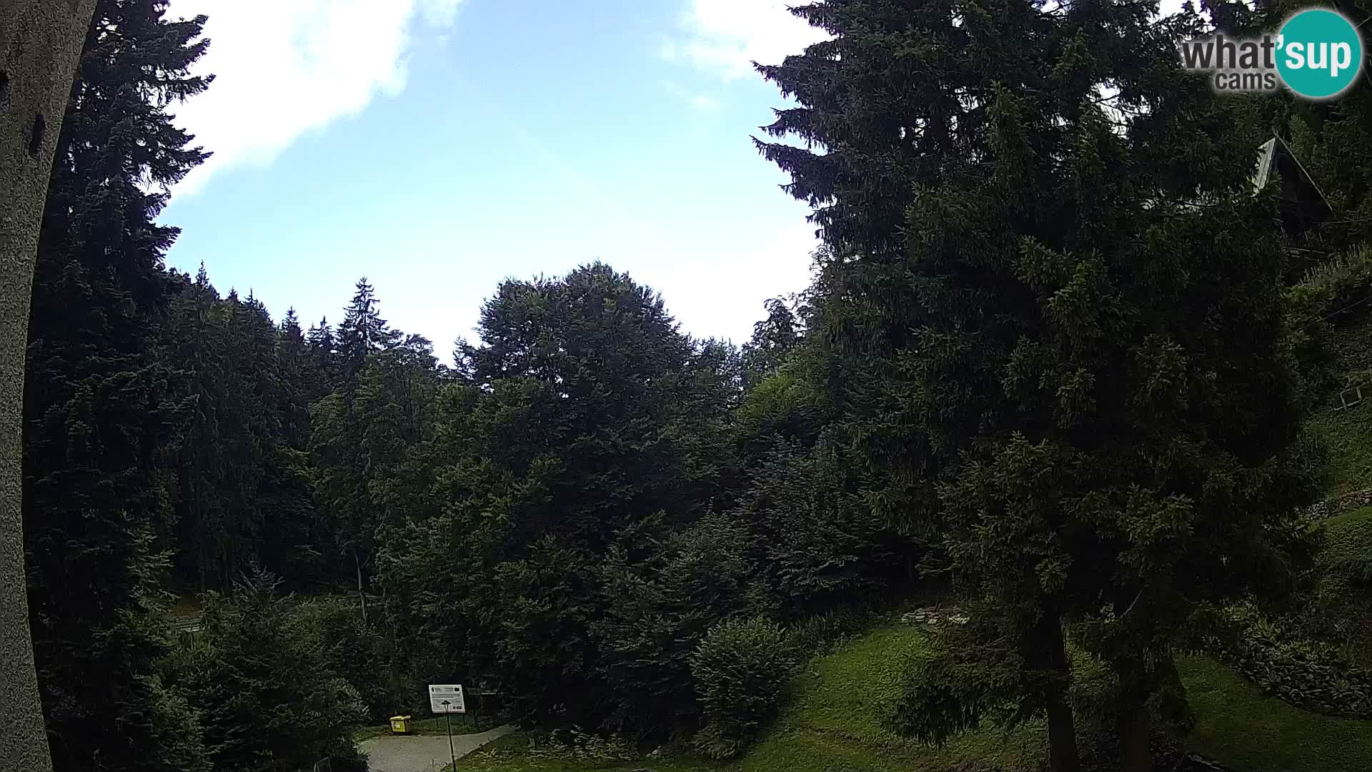 LIVE Webcam Spalona – Cross Country Ski Resort livecam Bystrzyckie Mountains