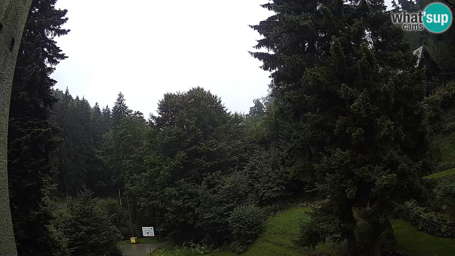 Camera en vivo Spalona – Estación de esquí de fondo webcam Montañas Bystrzyckie