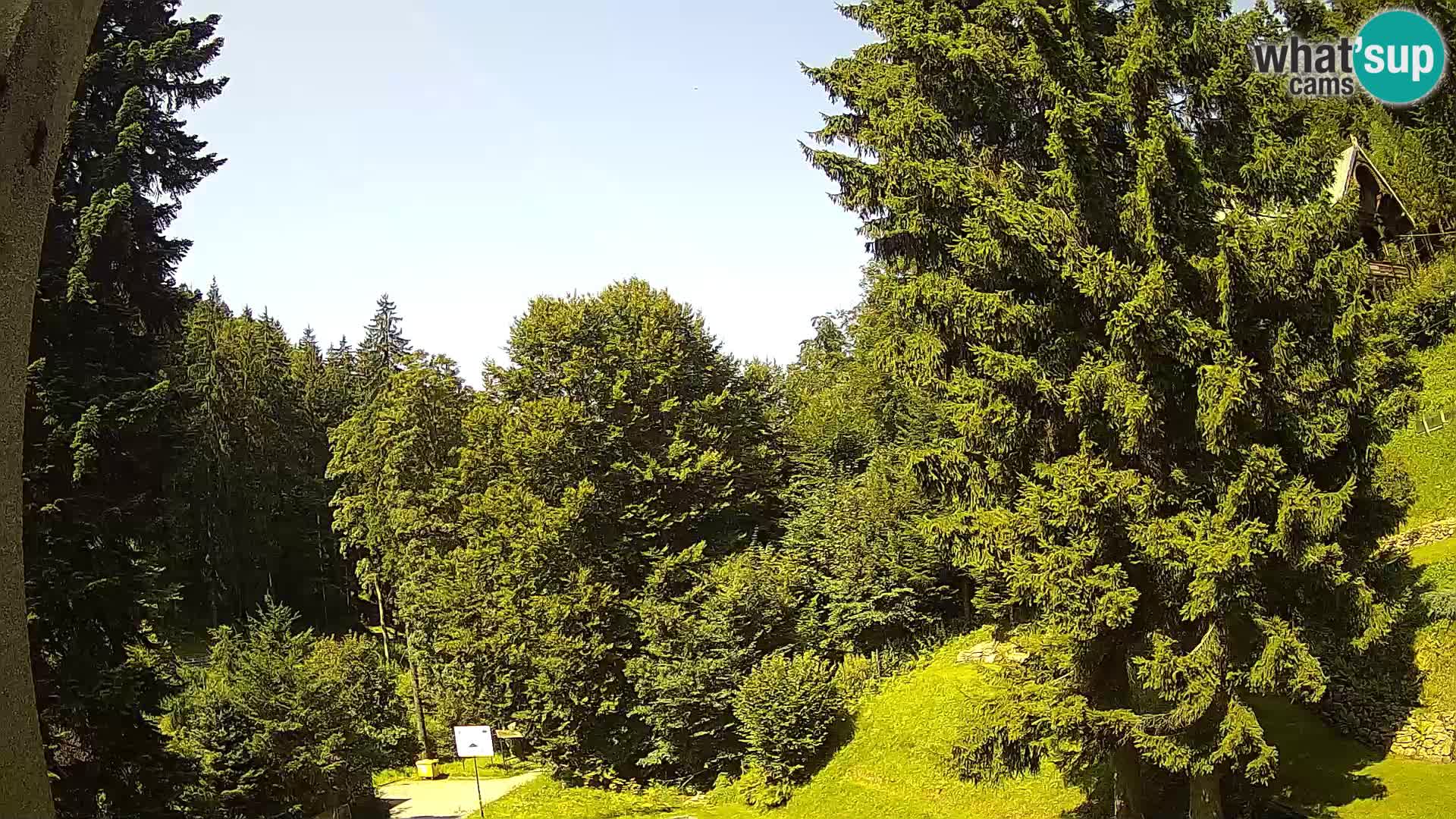 LIVE Webcam Spalona – Langlaufgebiet livecam Bystrzyckie Berge